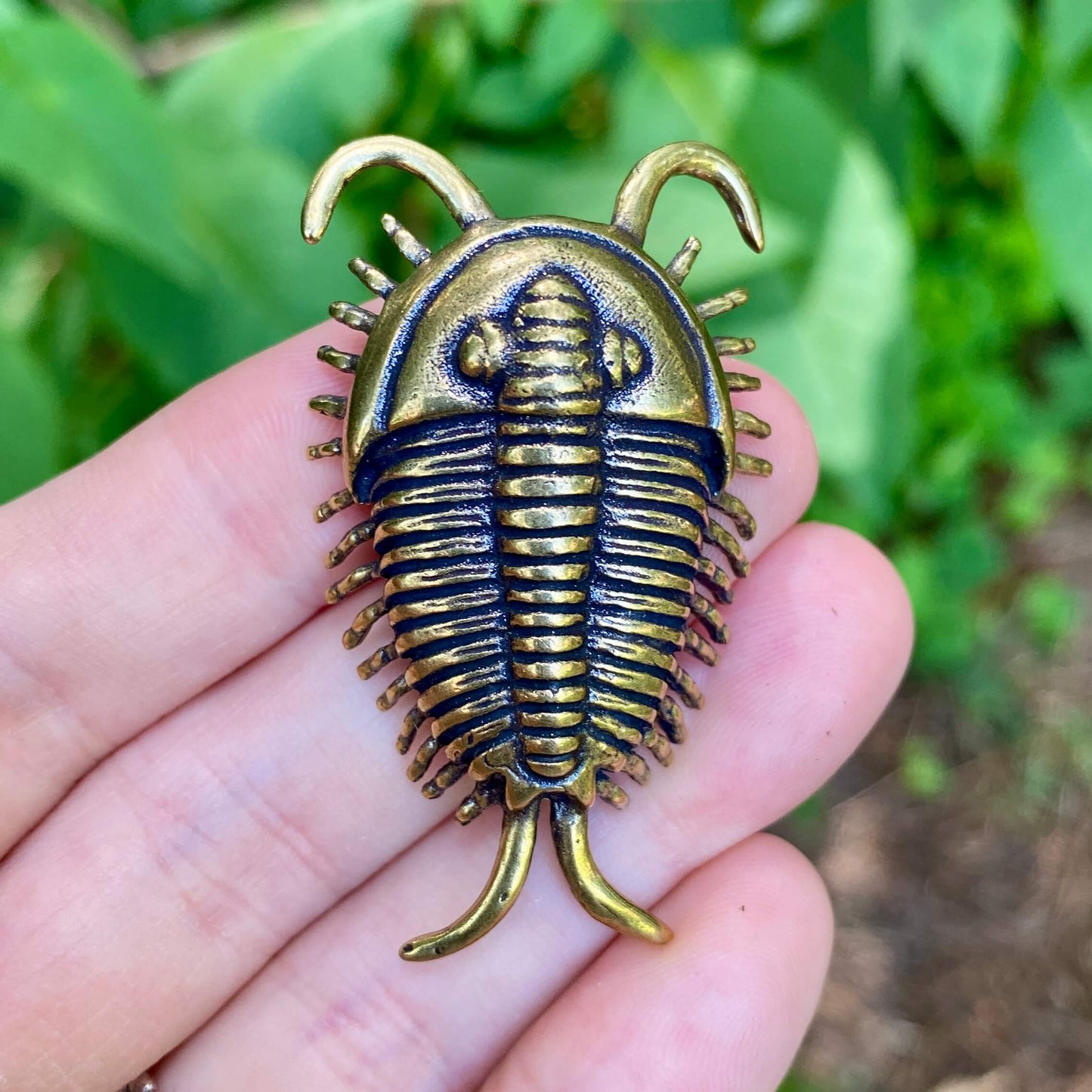 Solid brass trilobite sculpture by Wild Brass, symbol of ancient wisdom, resilience, and evolution, detailed and polished.