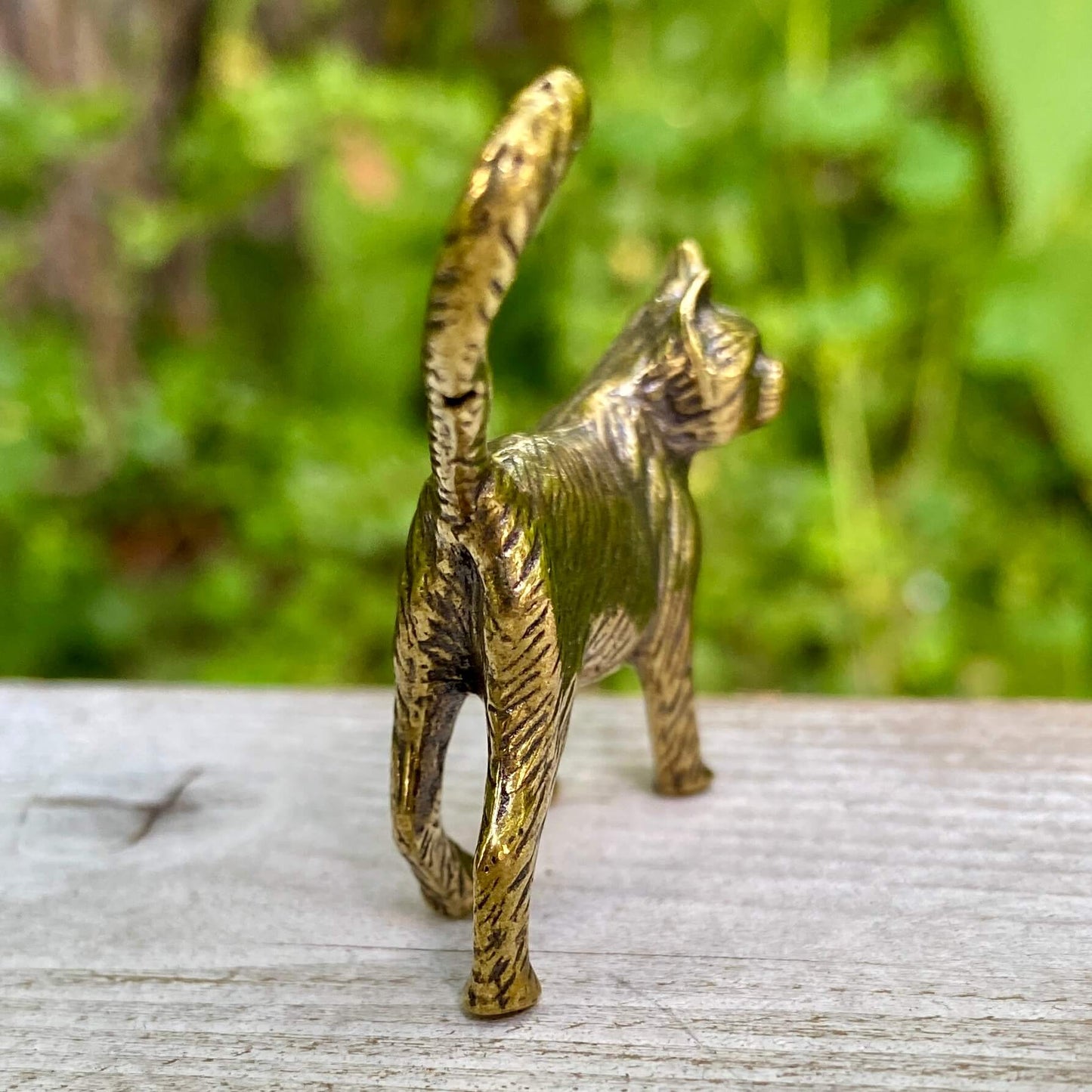 Solid brass cat sculpture by Wild Brass, showcasing a sleek feline with a poised stance symbolizing independence and mystery.