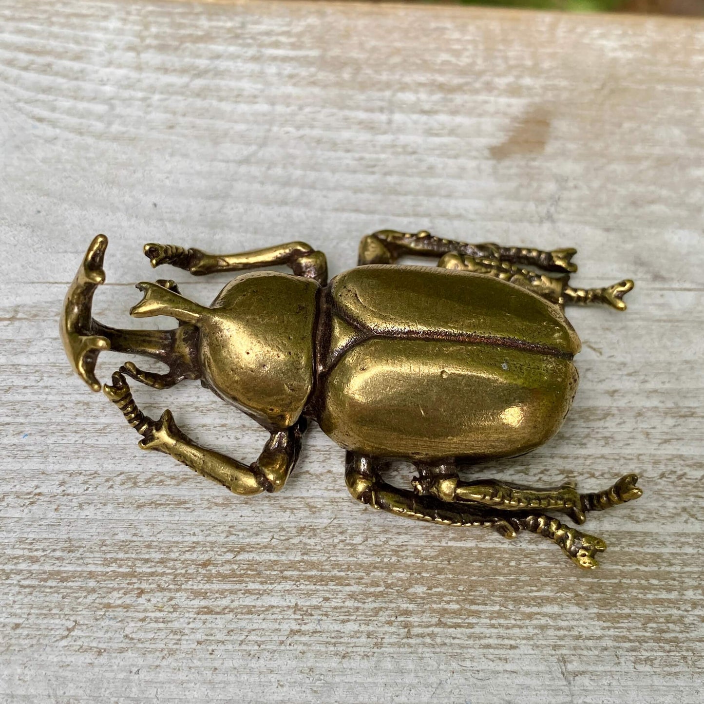 Solid brass rhinoceros beetle sculpture from Wild Brass, showcasing detailed, polished craftsmanship symbolizing strength and resilience.