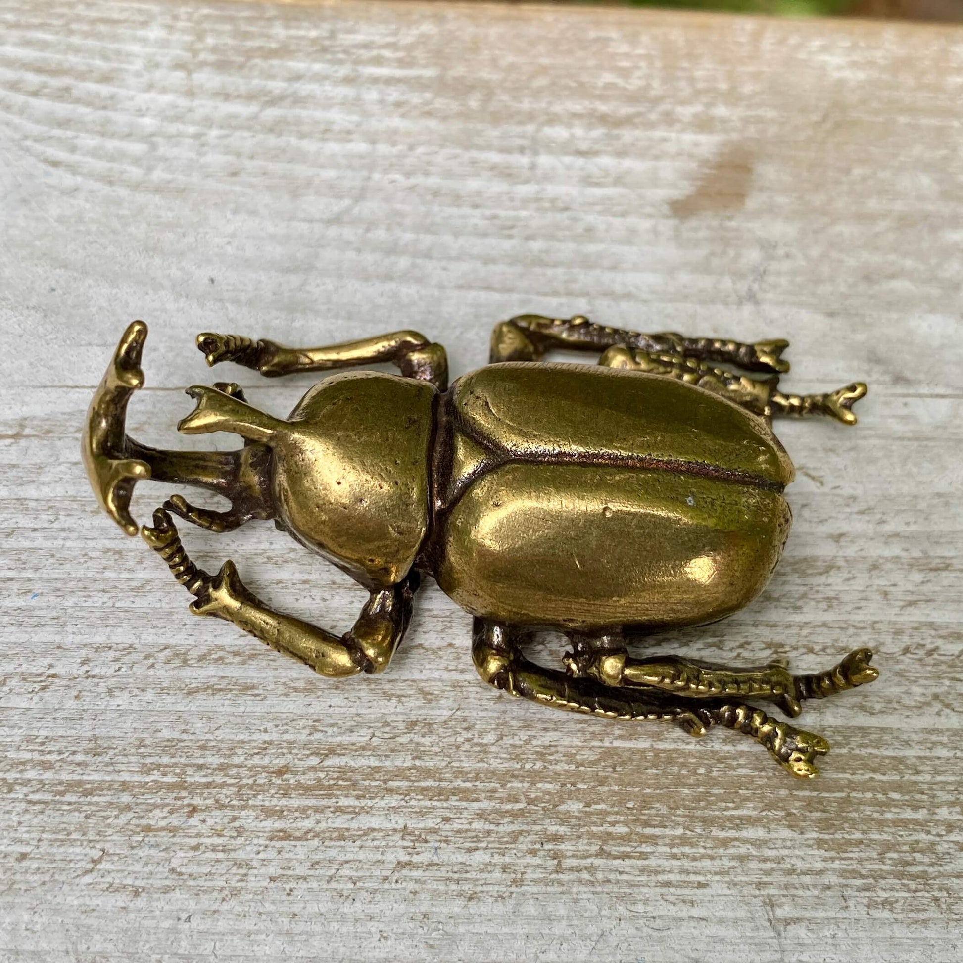 Solid brass rhinoceros beetle sculpture from Wild Brass, showcasing detailed, polished craftsmanship symbolizing strength and resilience.