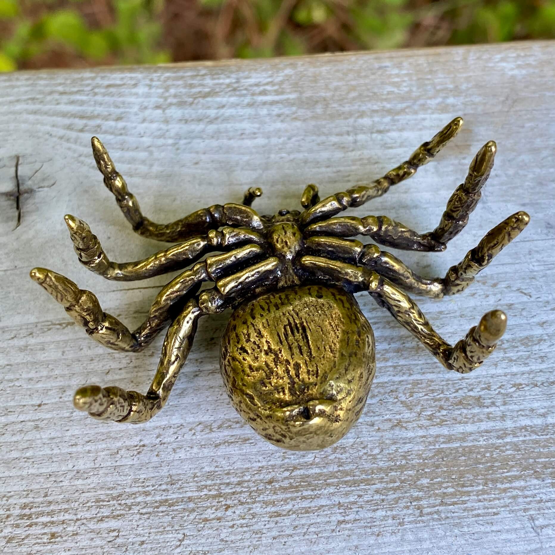 Solid brass tarantula spider figurine by Wild Brass, showcasing detailed legs and body, symbolizing patience, creativity, and shadow wisdom.
