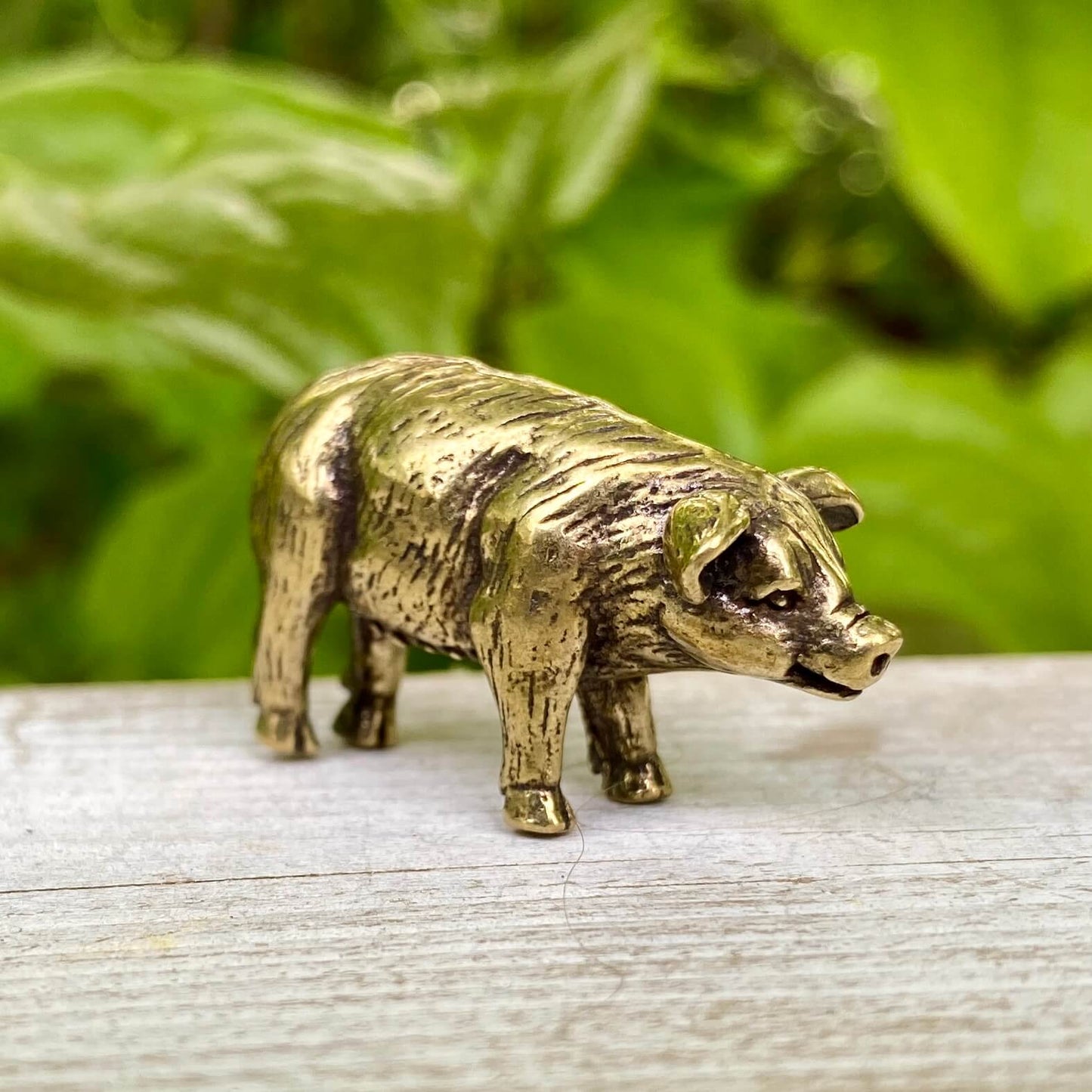 Solid Brass Pig - Symbol of Good Luck, Prosperity & Abundance - A38