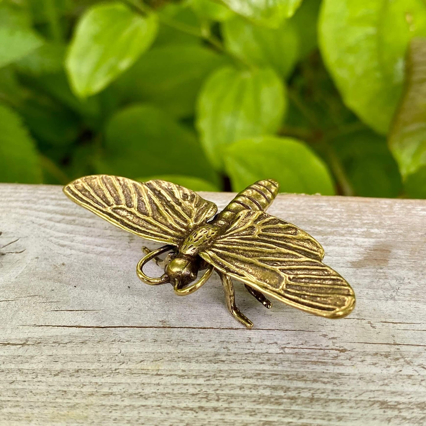 Solid Brass Moth - Symbol of Spiritual Growth, Transformation & Trusting Your Path