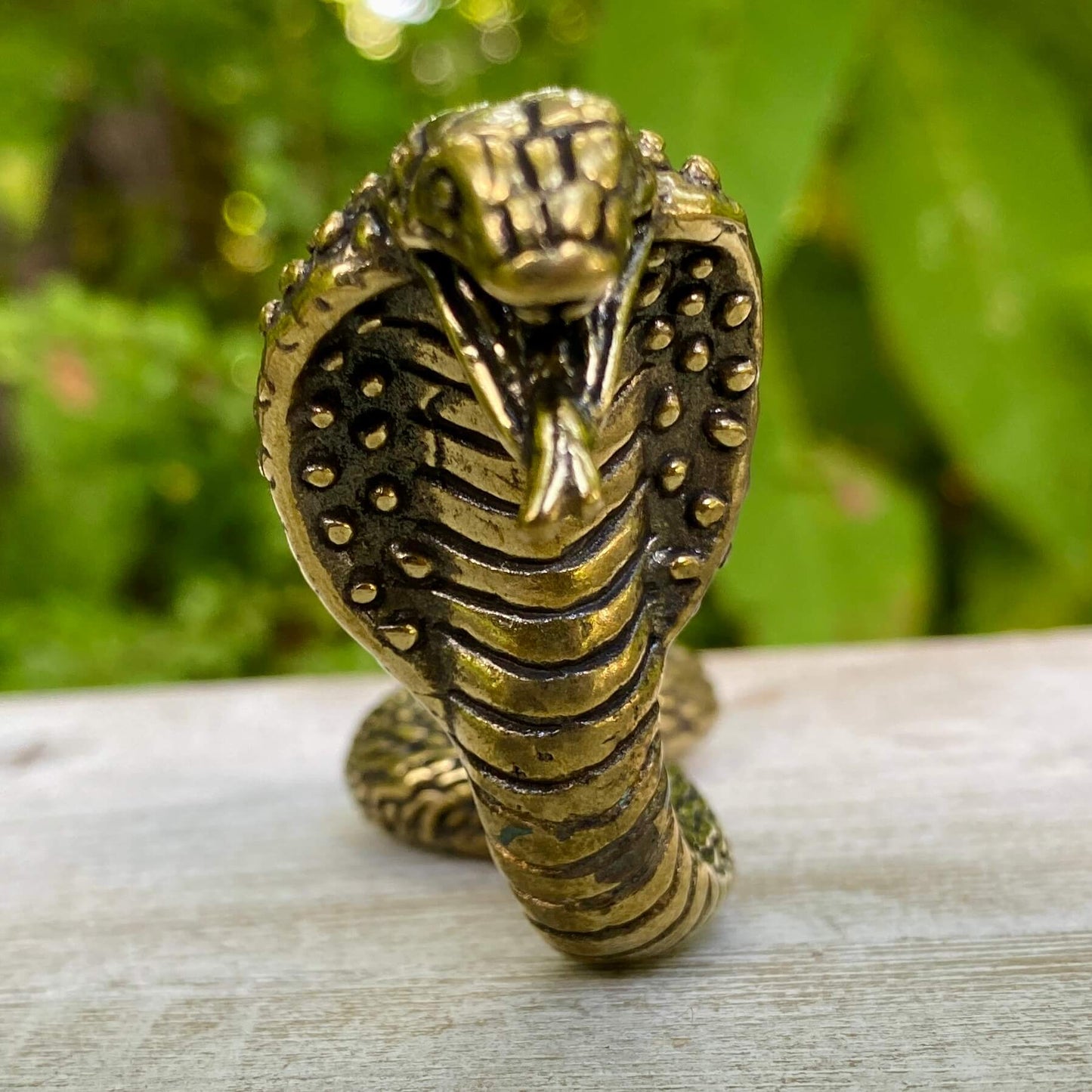 Solid brass cobra snake sculpture by Wild Brass, symbolizing transformation, power, and protection, with detailed coiled design.