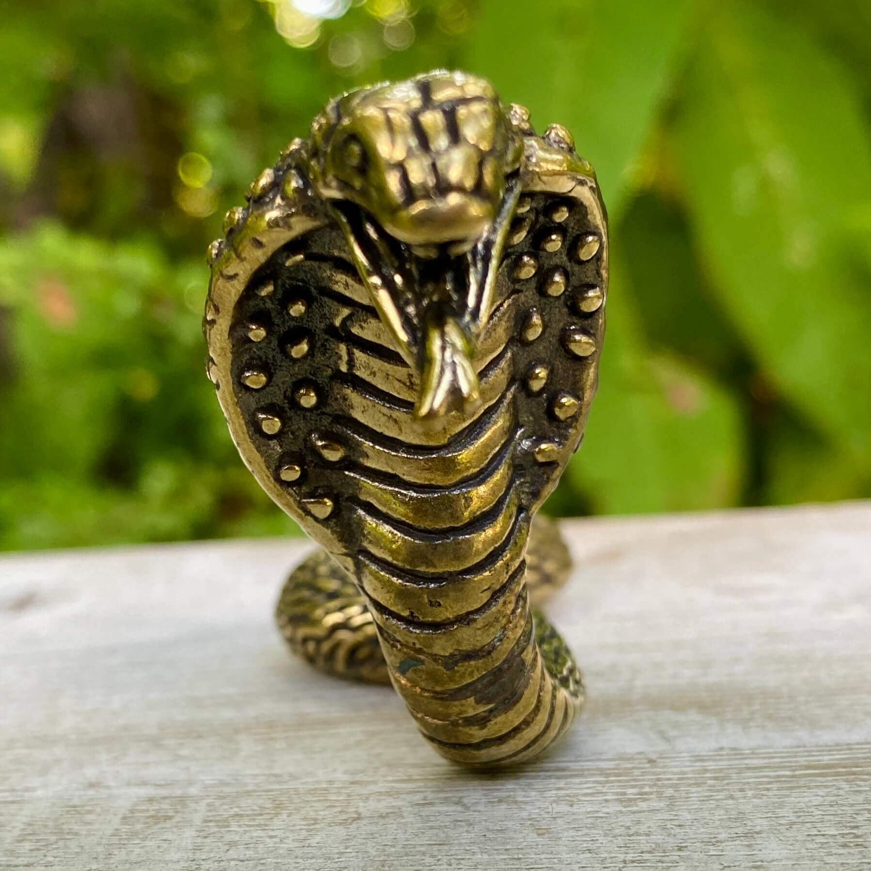 Solid brass cobra snake sculpture by Wild Brass, symbolizing transformation, power, and protection, with detailed coiled design.