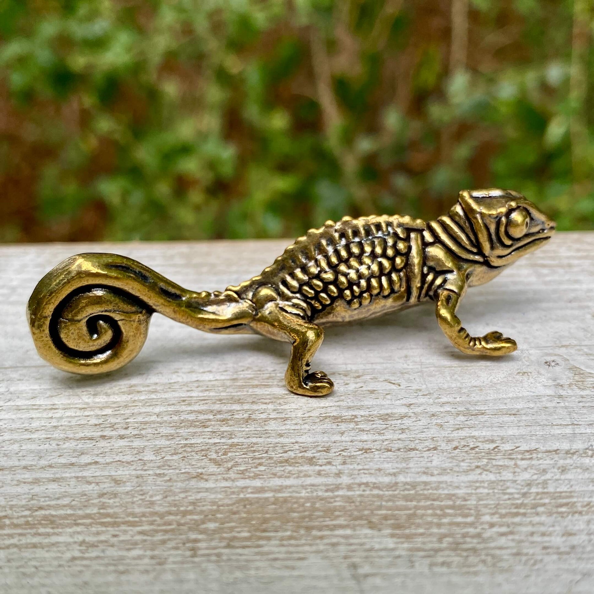 Solid brass chameleon sculpture by Wild Brass symbolizing adaptability and change, detailed with realistic features.