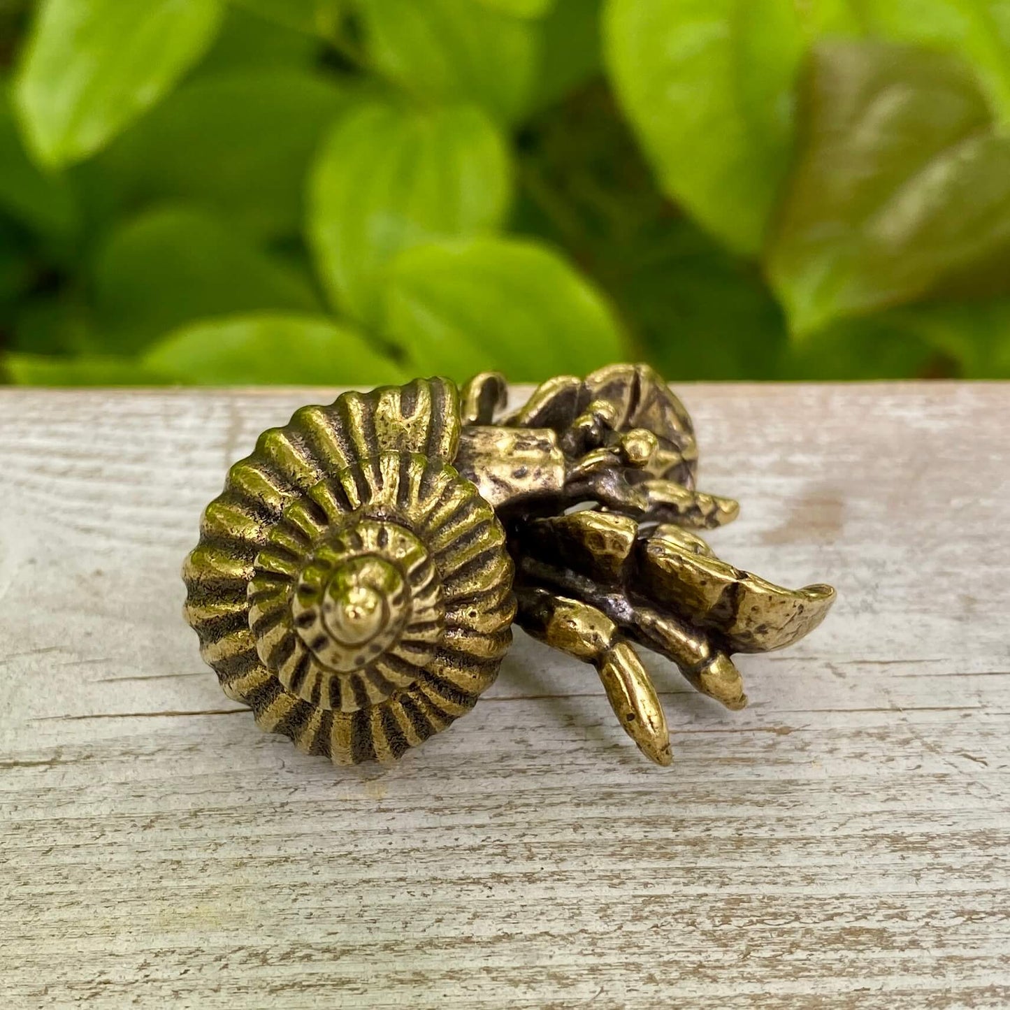 Solid Brass Hermit Crab – Symbol of Adaptability, Protection & Personal Growth