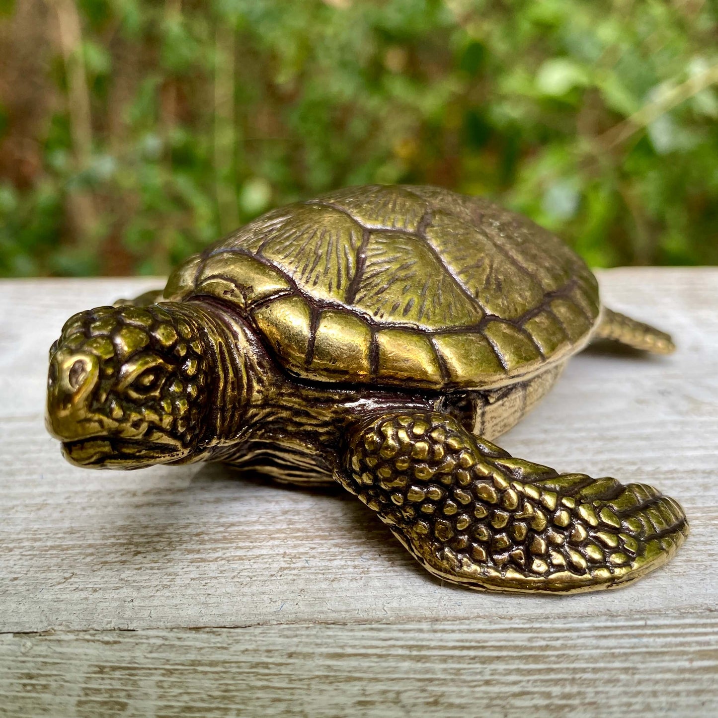 Solid brass sea turtle sculpture by Wild Brass, symbolizing longevity, wisdom, and endurance, with detailed shell and flipper features.