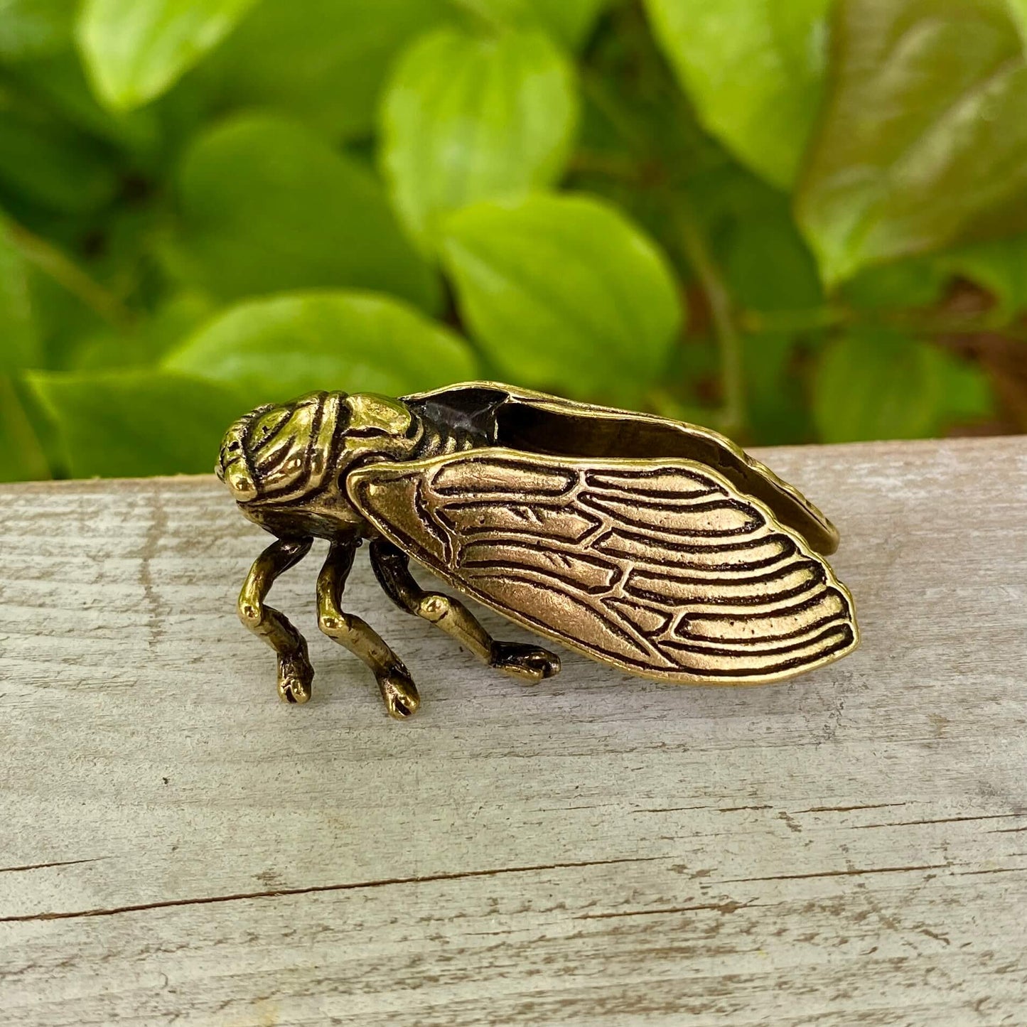 Solid Brass Cicada - Symbol of Personal Growth, Awakening & Renewal