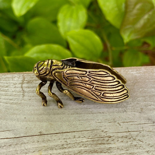 Solid Brass Cicada - Symbol of Personal Growth, Awakening & Renewal