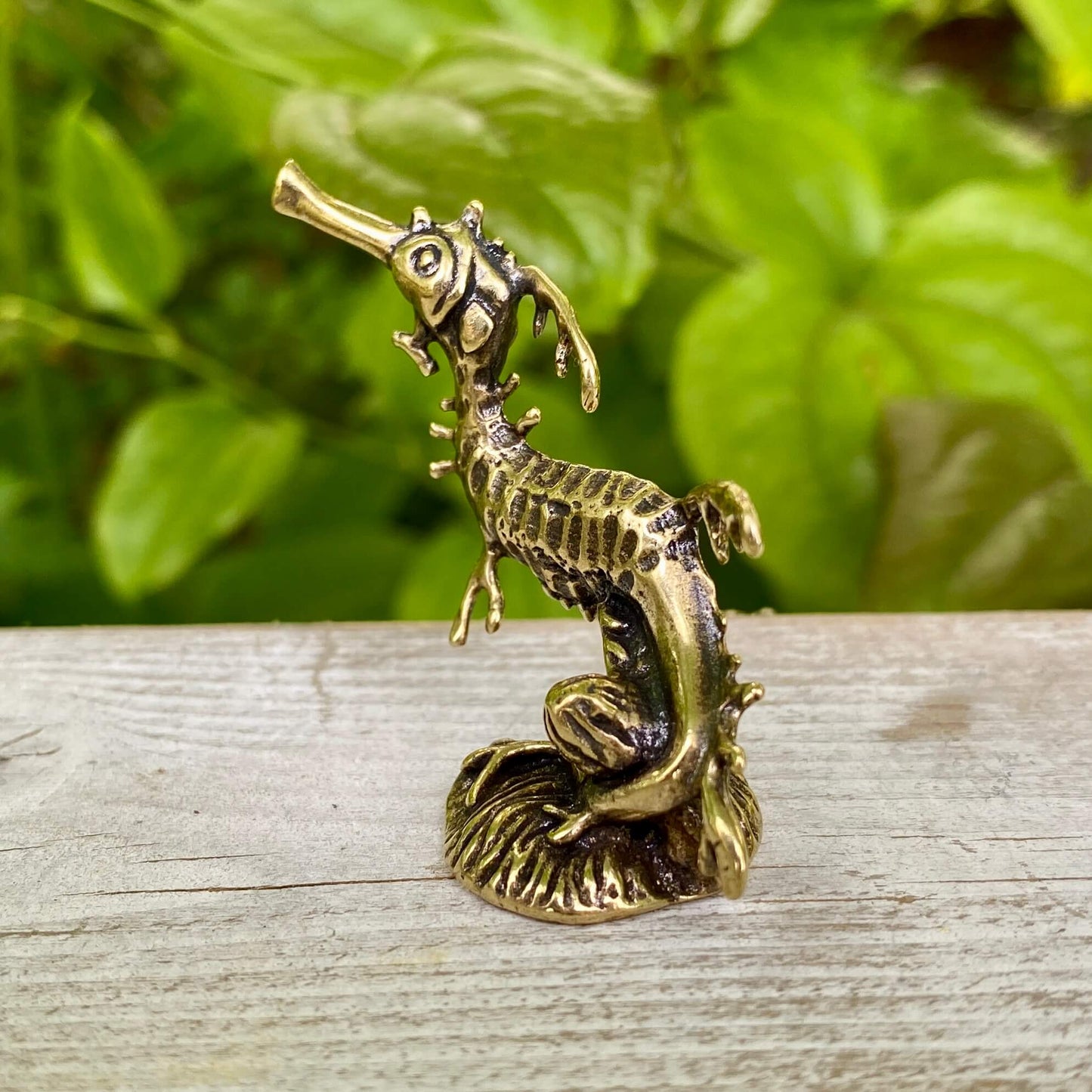 Solid Brass Seahorse / Sea Dragon - Symbol of Patience, Grace & Strength