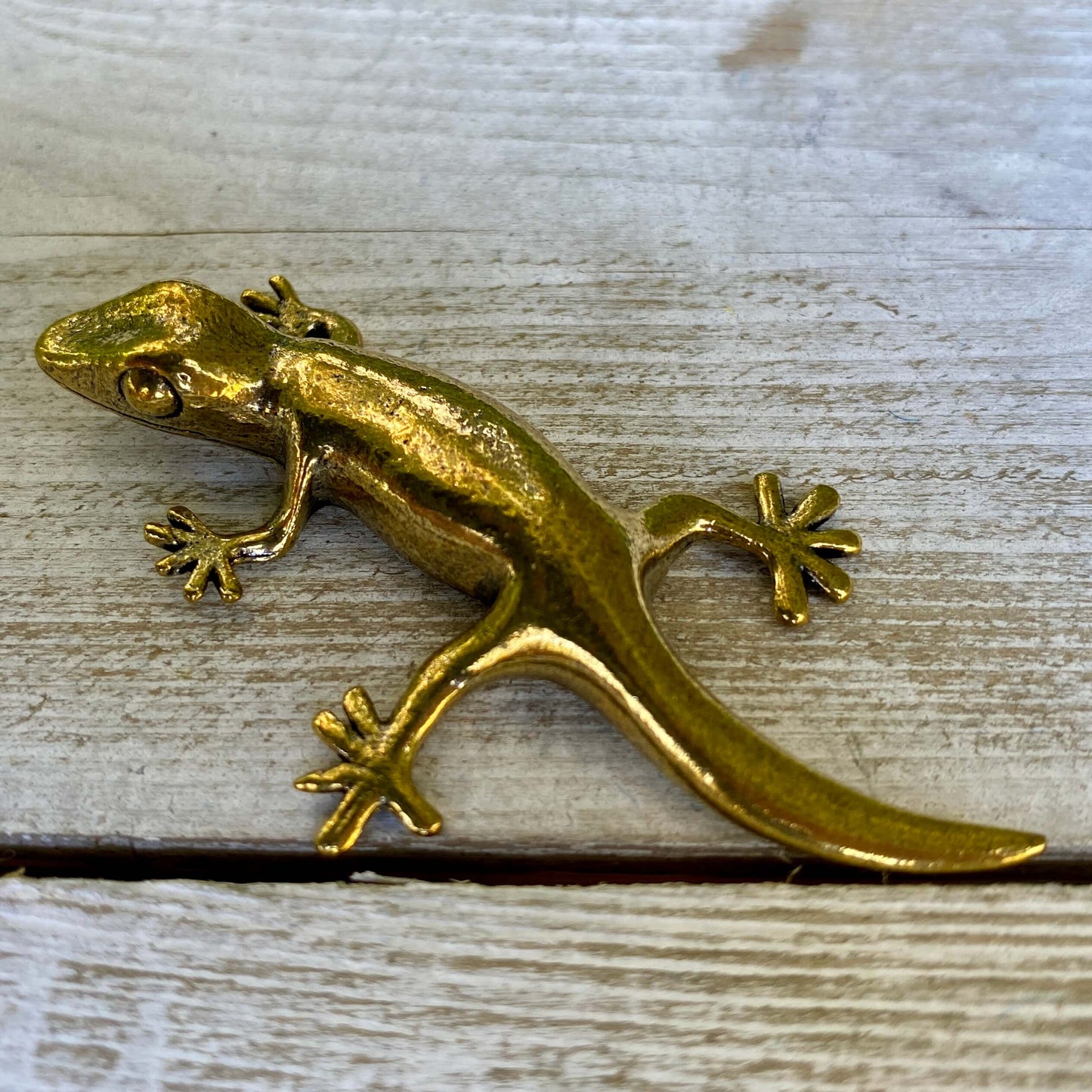 Solid brass gecko sculpture by Wild Brass, symbol of renewal, adaptability, and resilience, shown in a detailed close-up image.