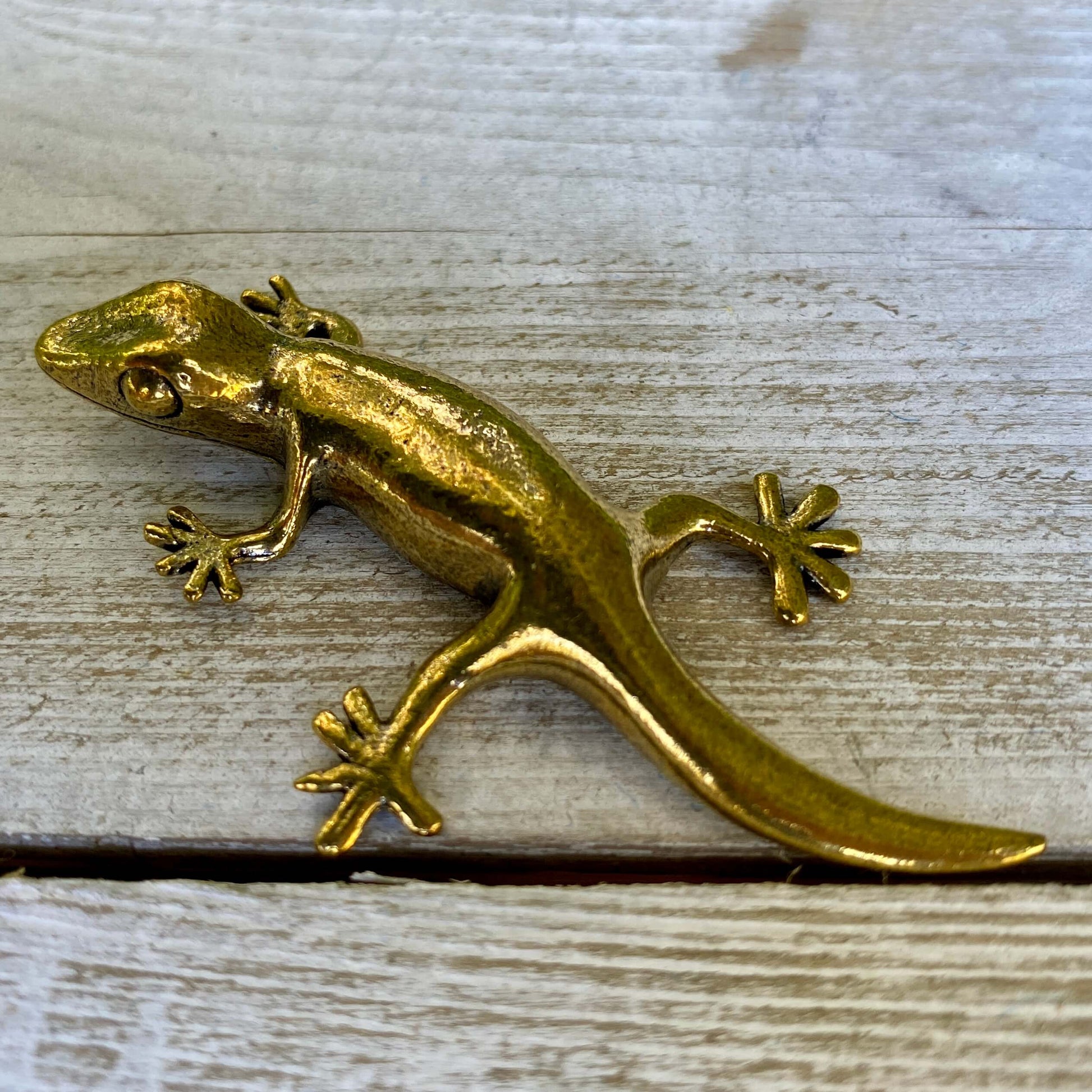 Solid brass gecko sculpture by Wild Brass, symbol of renewal, adaptability, and resilience, shown in a detailed close-up image.