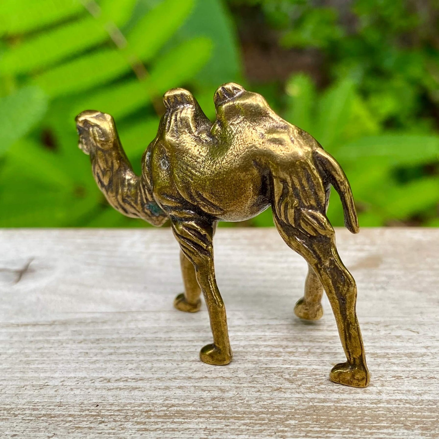 Solid brass camel sculpture by Wild Brass, symbol of endurance, patience, and survival, with detailed craftsmanship and a polished finish.