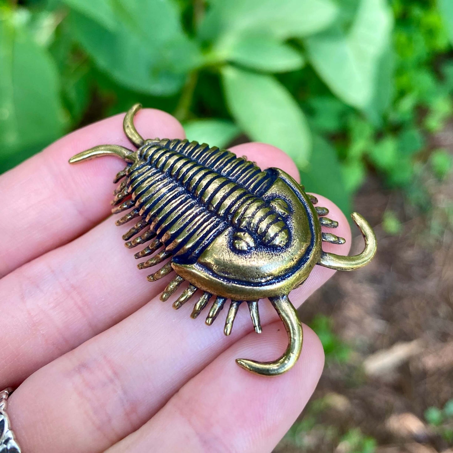 Solid brass trilobite sculpture by Wild Brass, featuring detailed ancient fossil design symbolizing wisdom and resilience.