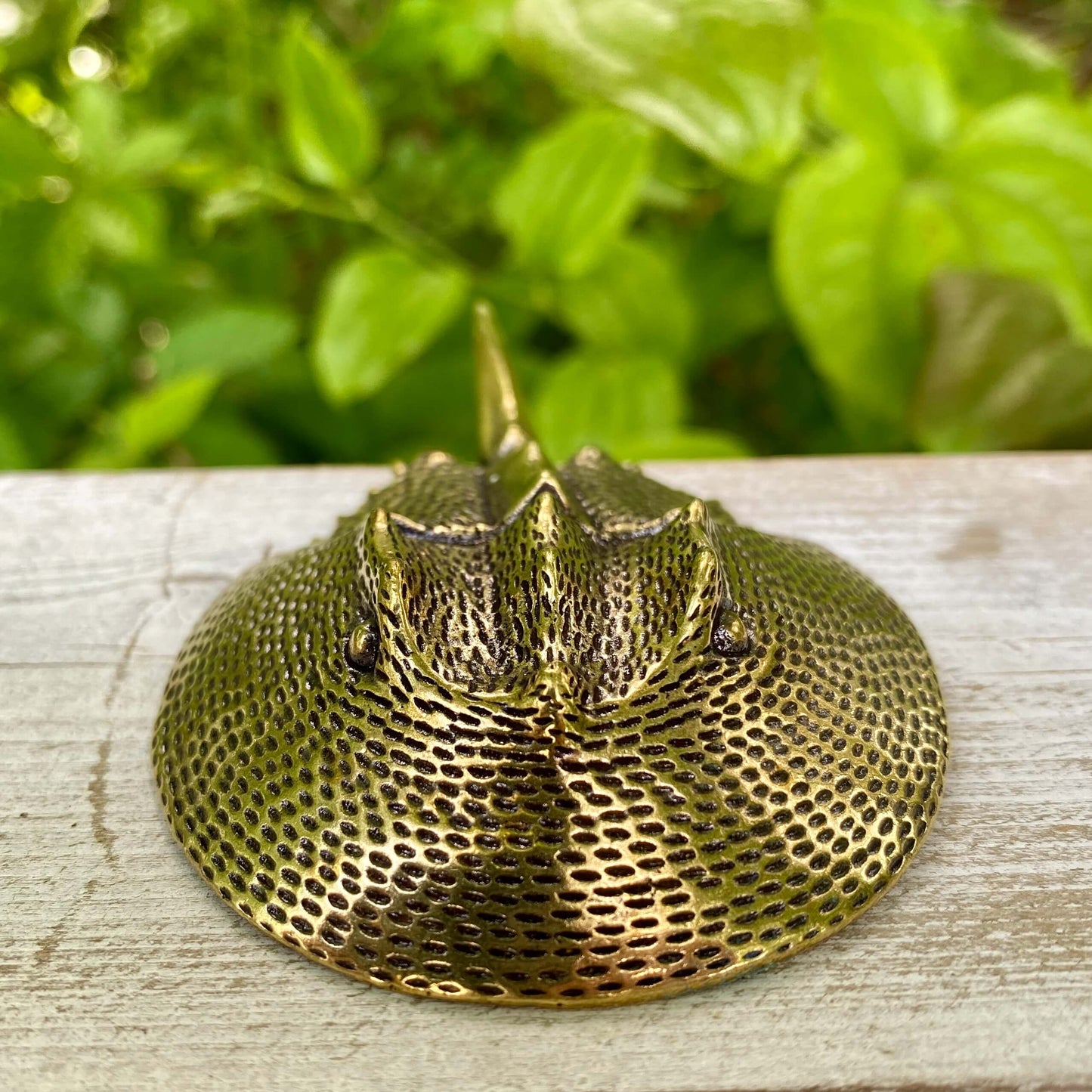 Solid Brass Horseshoe Crab - Symbol of Wisdom, Protection & Strength - A61