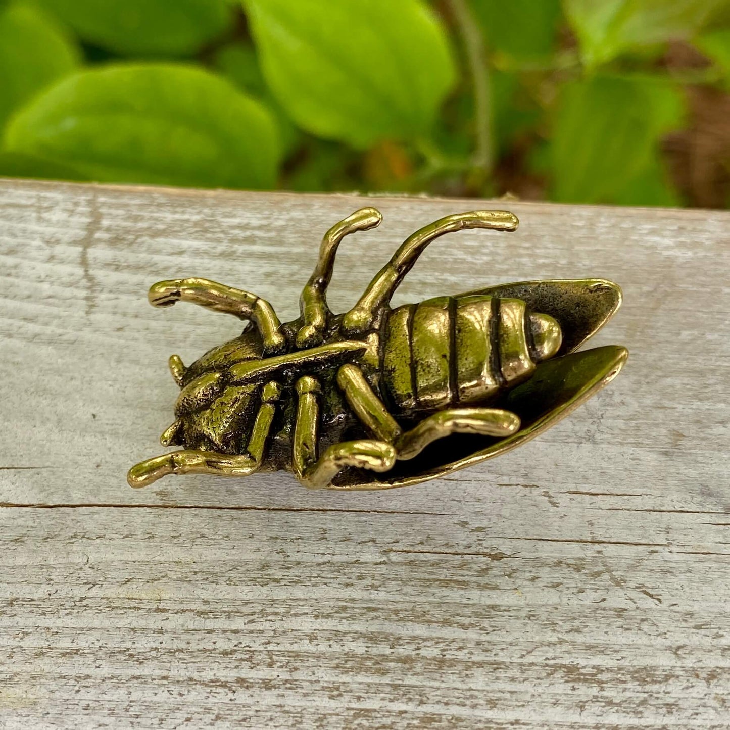 Solid Brass Cicada - Symbol of Personal Growth, Awakening & Renewal