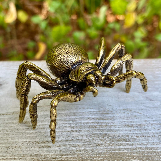 Solid brass tarantula spider sculpture by Wild Brass, symbol of patience, creativity, and shadow wisdom, detailed and handcrafted.