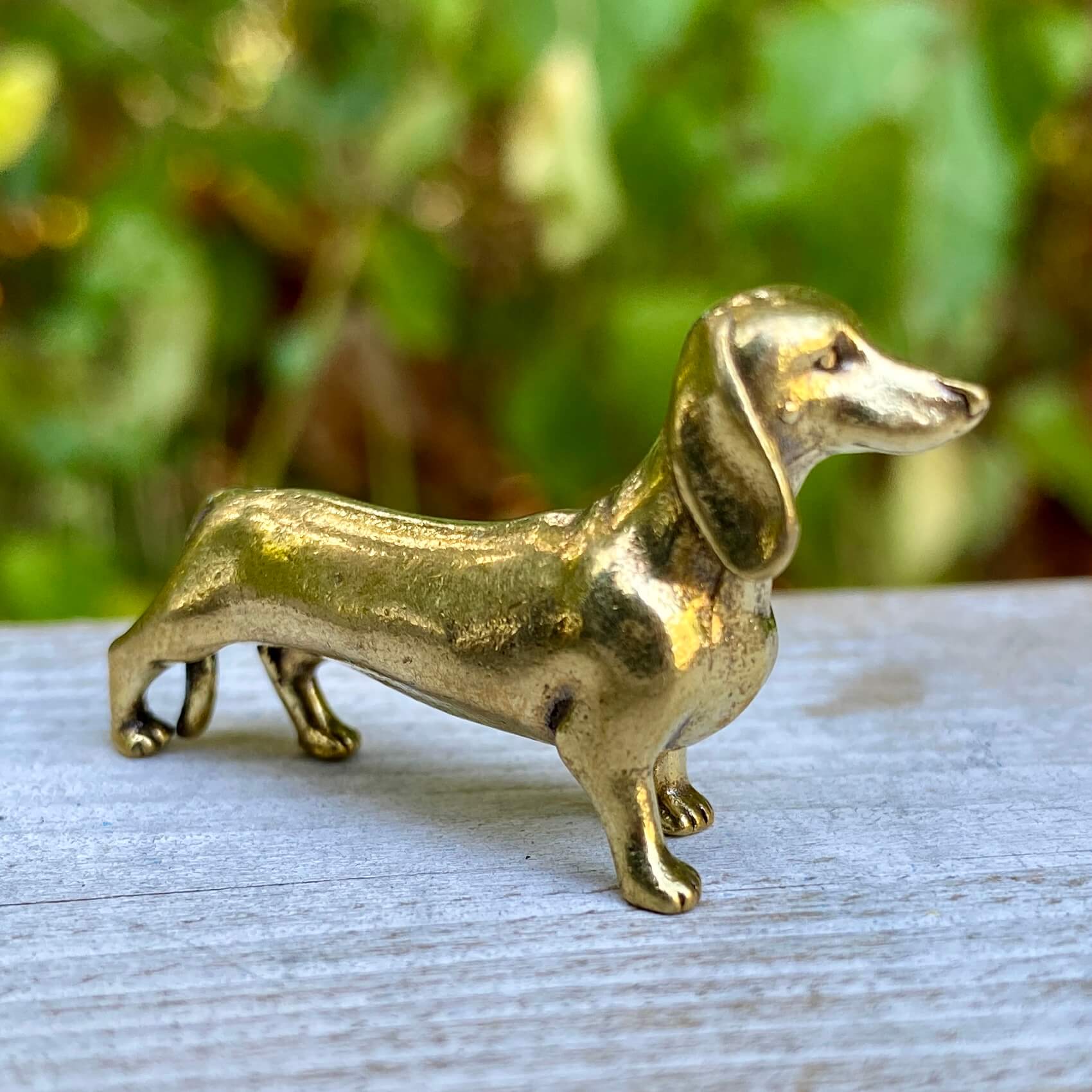 Solid brass dachshund dog sculpture by Wild Brass, symbolizing courage, loyalty, and tenacity, shown in detailed close-up.
