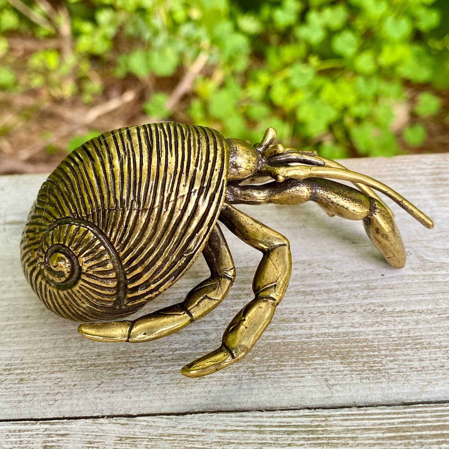 Solid brass hermit crab figurine by Wild Brass, symbolizing adaptability and protection, shown with detailed textures and polished finish.