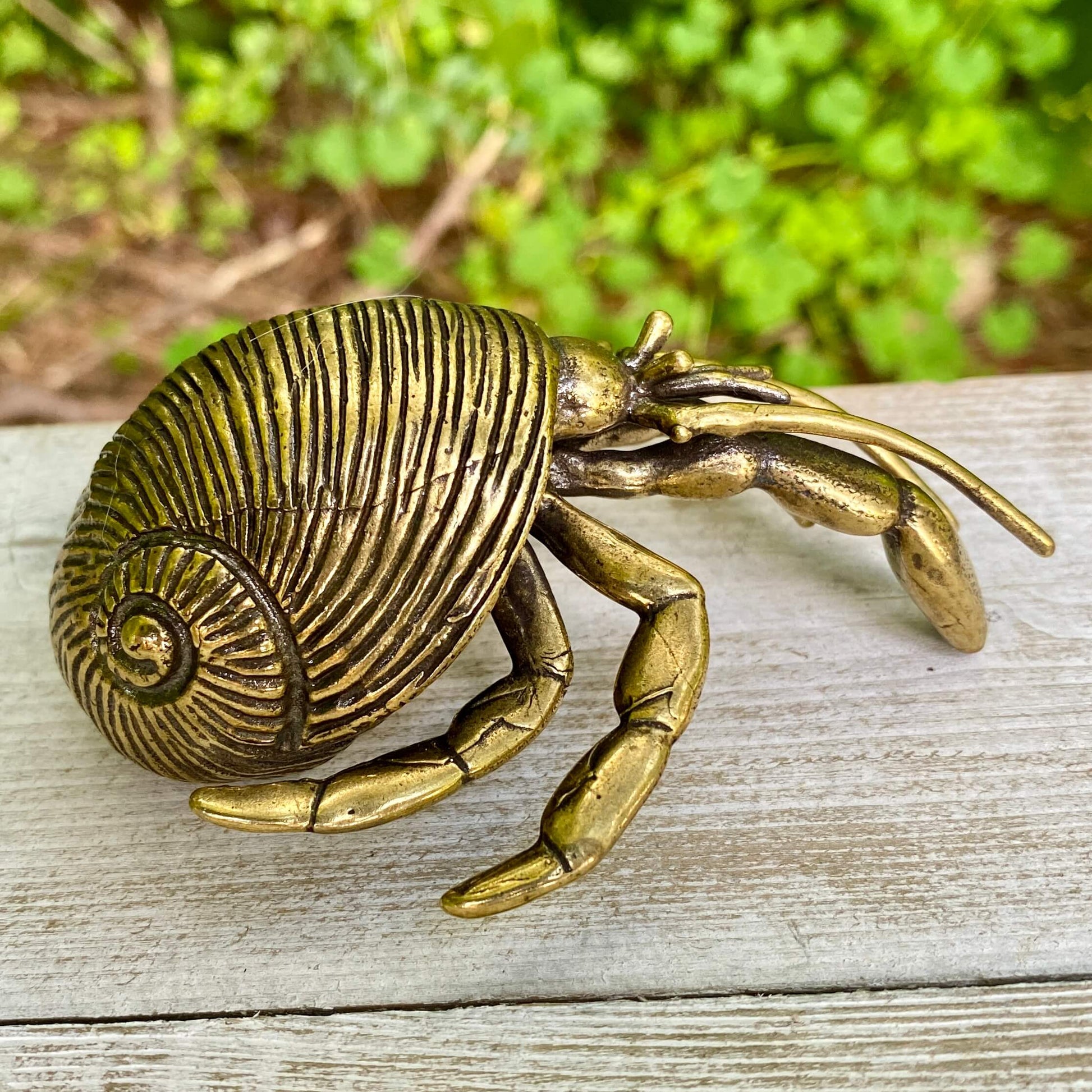 Solid brass hermit crab figurine by Wild Brass, symbolizing adaptability and protection, shown with detailed textures and polished finish.