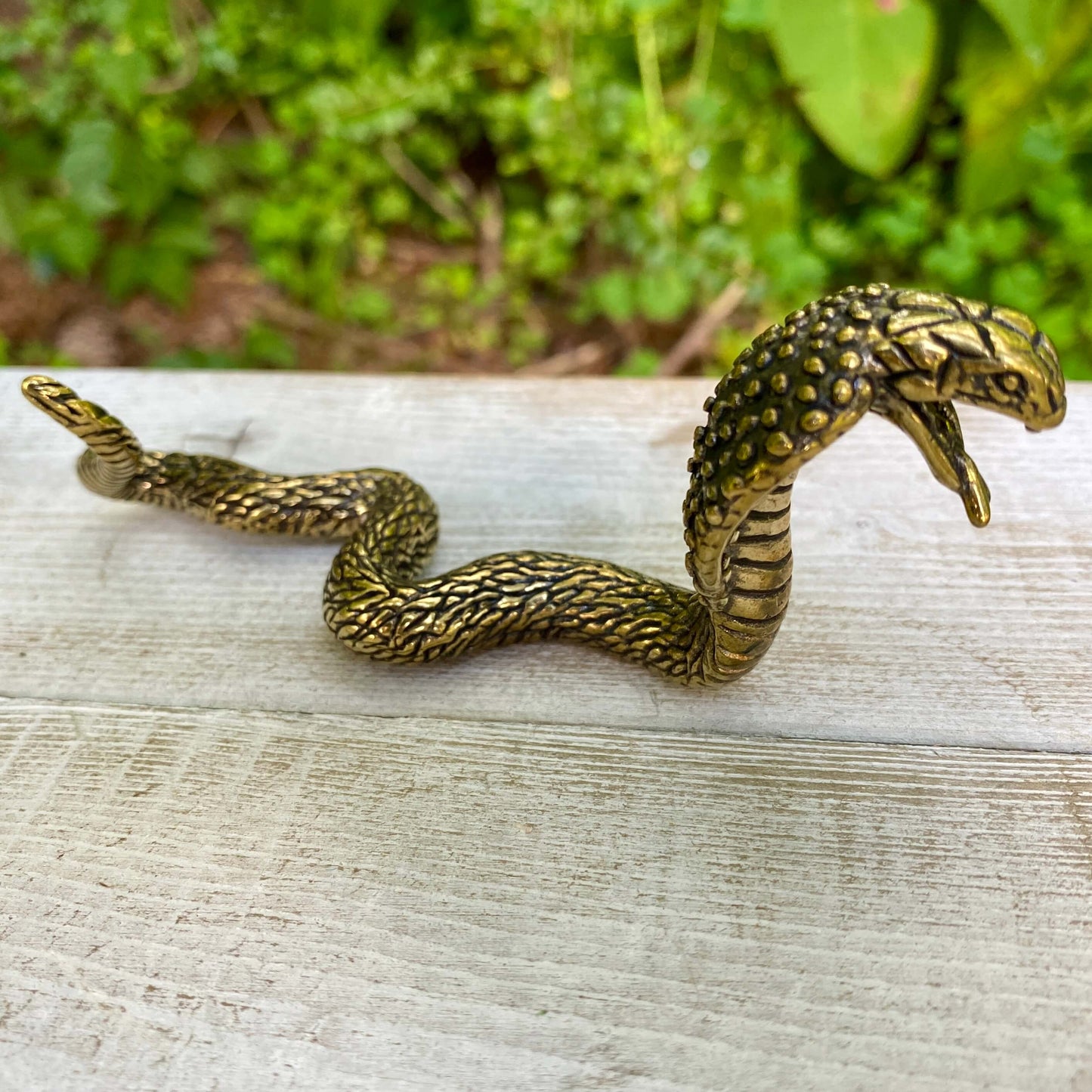 Solid brass cobra snake sculpture by Wild Brass, symbol of transformation, power, and protection, displayed against a neutral background.
