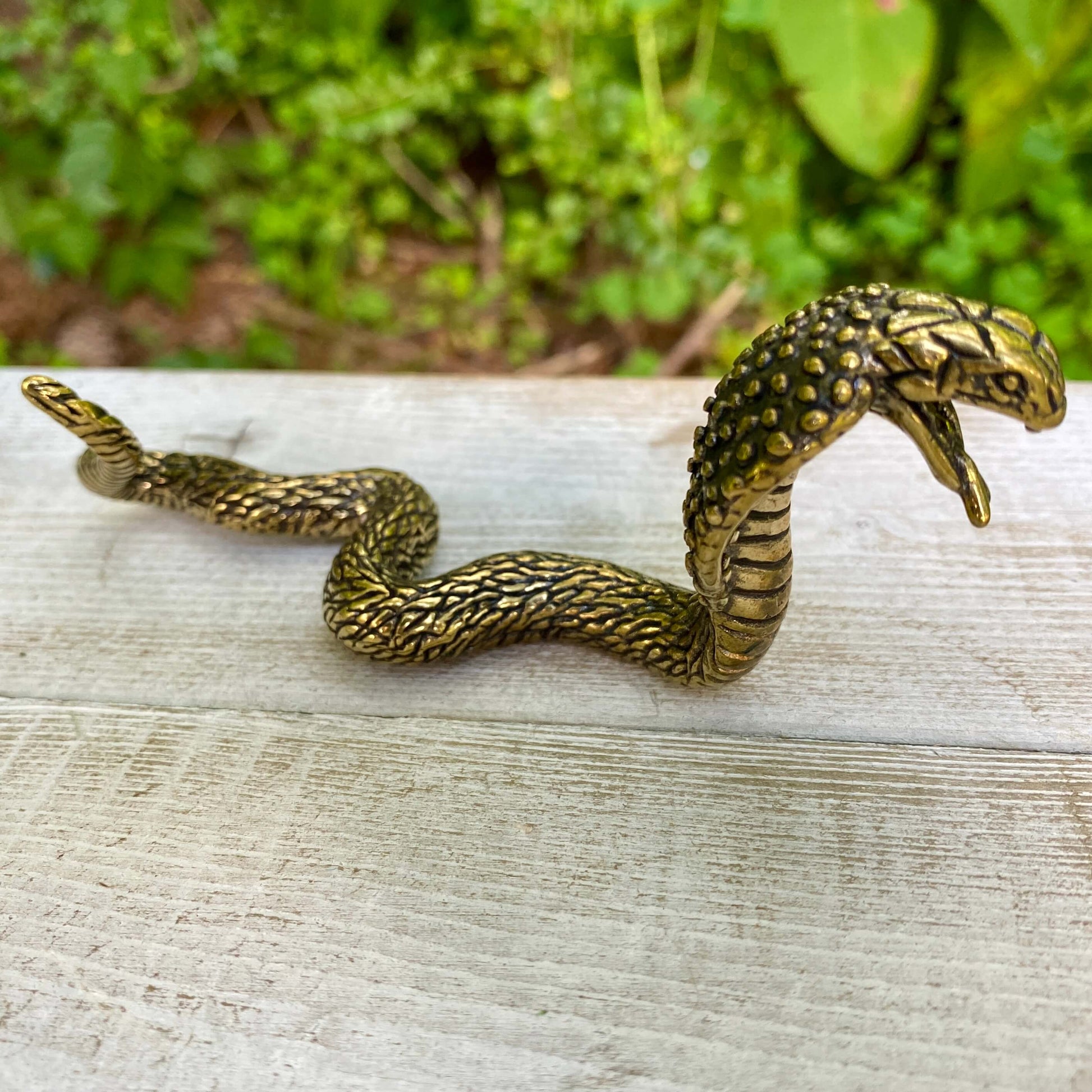 Solid brass cobra snake sculpture by Wild Brass, symbol of transformation, power, and protection, displayed against a neutral background.
