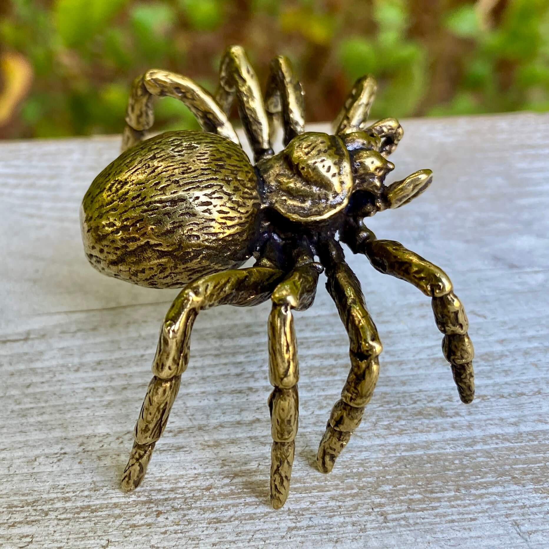Solid brass tarantula spider sculpture by Wild Brass, showcasing detailed legs and body, symbolizing patience and shadow wisdom.