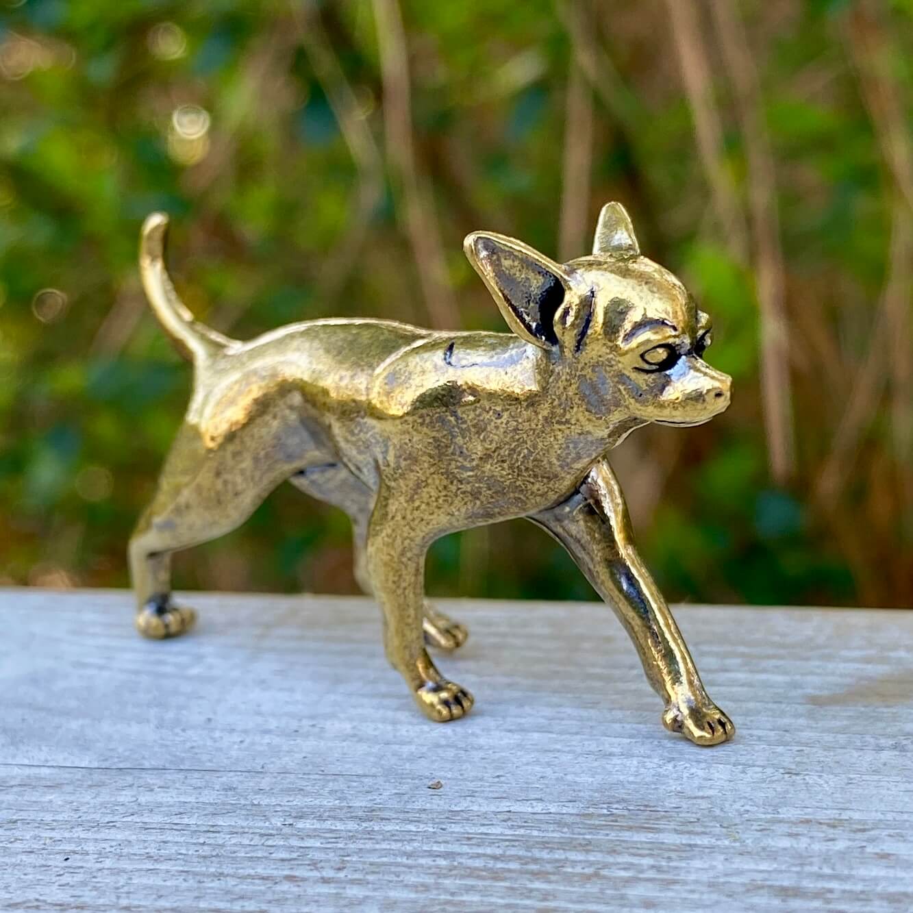 Solid brass Chihuahua dog figurine by Wild Brass, symbolizing loyalty, energy, and courage, detailed and polished surface.