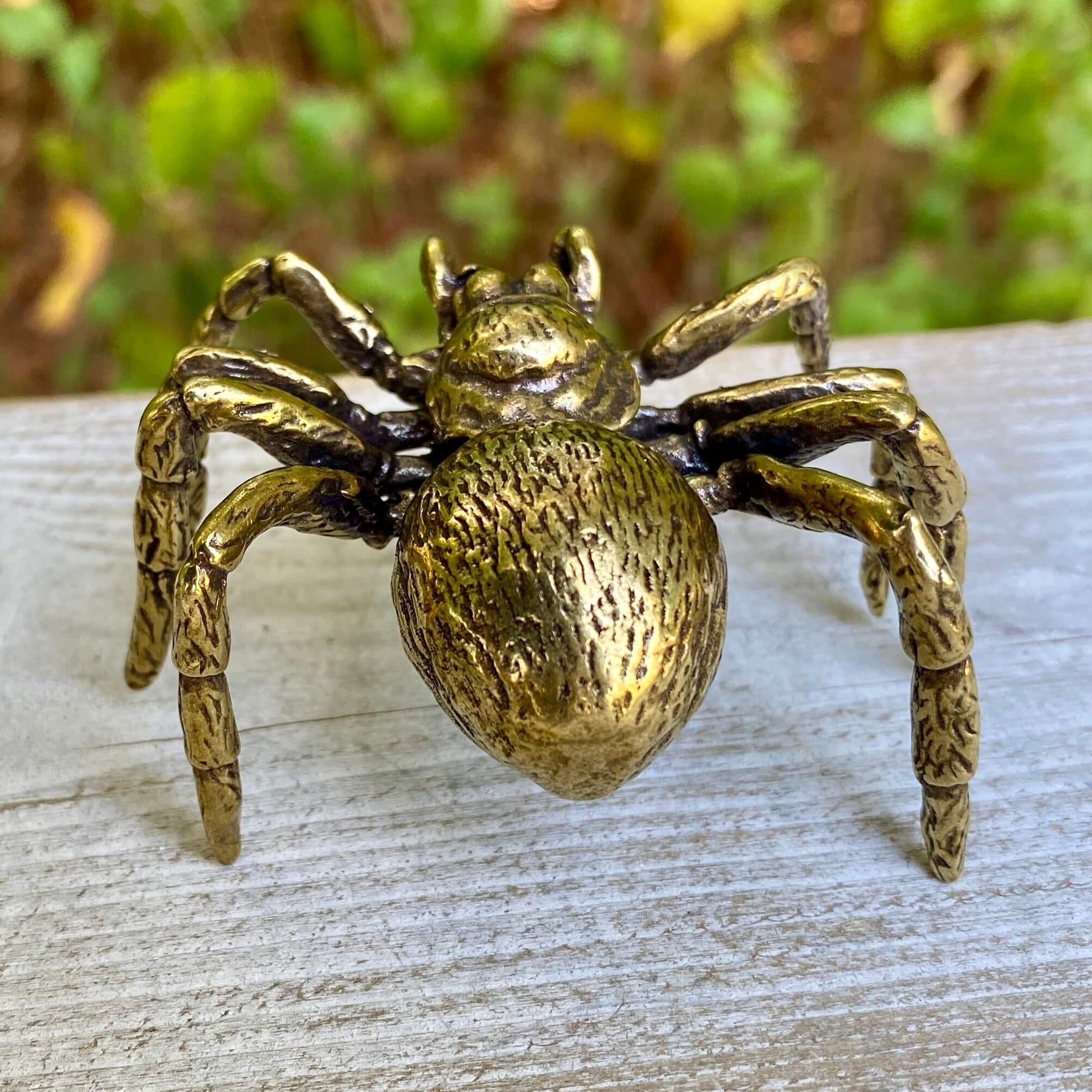 Solid brass tarantula spider sculpture by Wild Brass, detailed surface with realistic features, symbolizing patience and shadow wisdom
