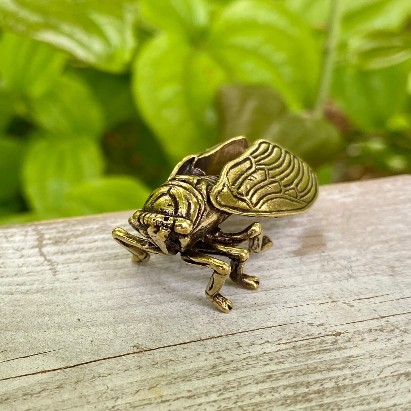 Solid Brass Cicada - Symbol of Personal Growth, Awakening & Renewal