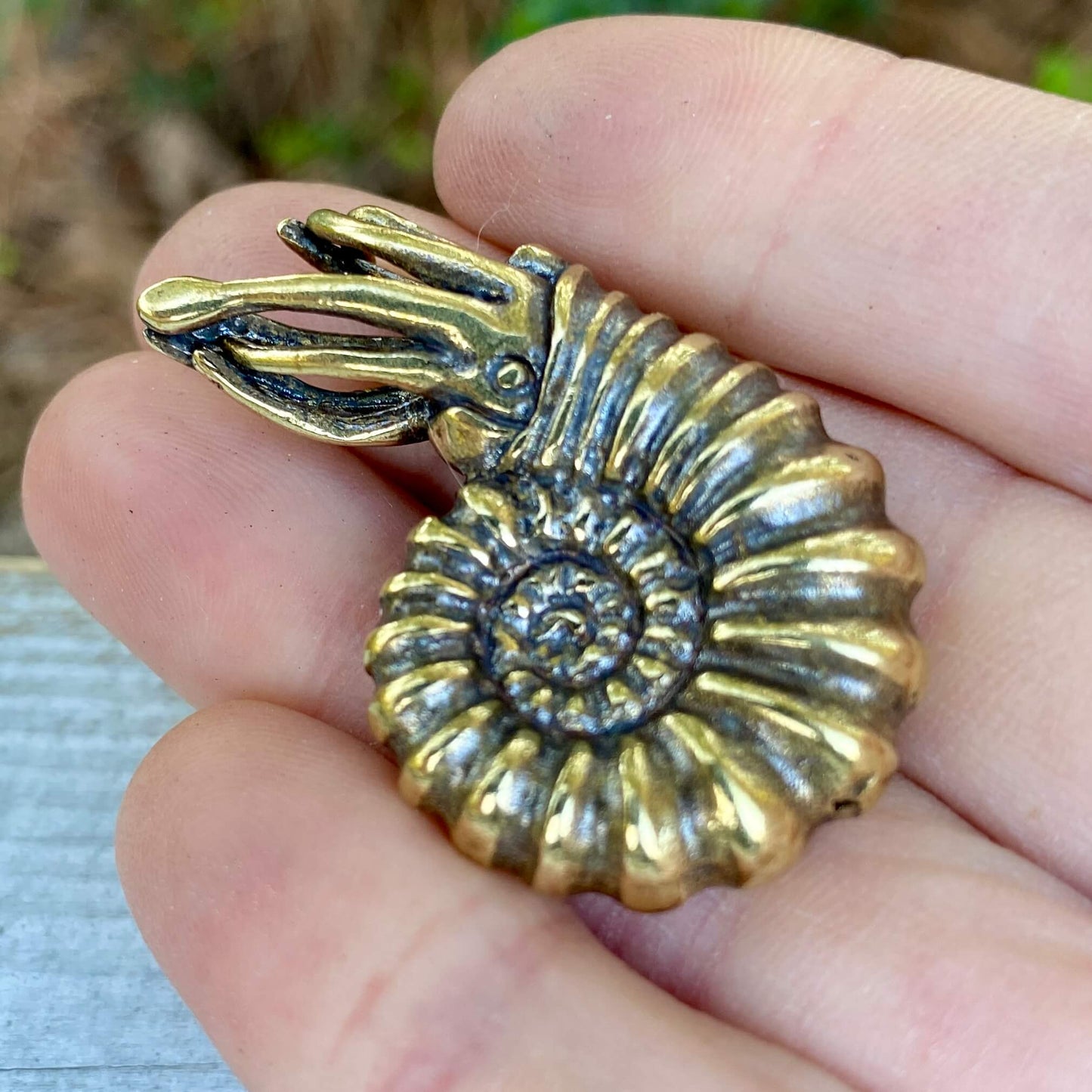 Solid brass ammonite fossil with Fibonacci spiral, symbolizing ancient origins and evolution, crafted by Wild Brass.