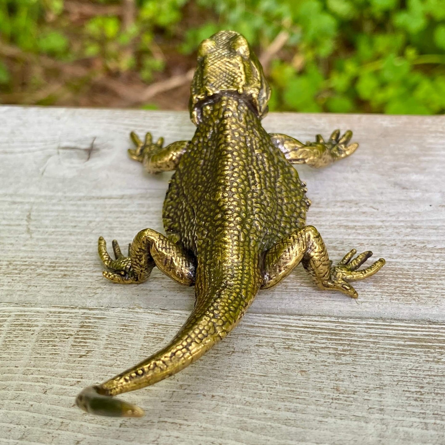Solid brass lizard sculpture by Wild Brass, symbolizing regeneration, adaptability, and survival, with intricate detailing.