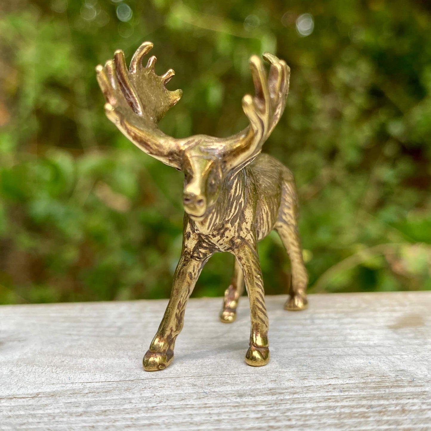 Solid brass moose sculpture by Wild Brass, symbol of strength, wisdom, and confidence, showcasing detailed craftsmanship.
