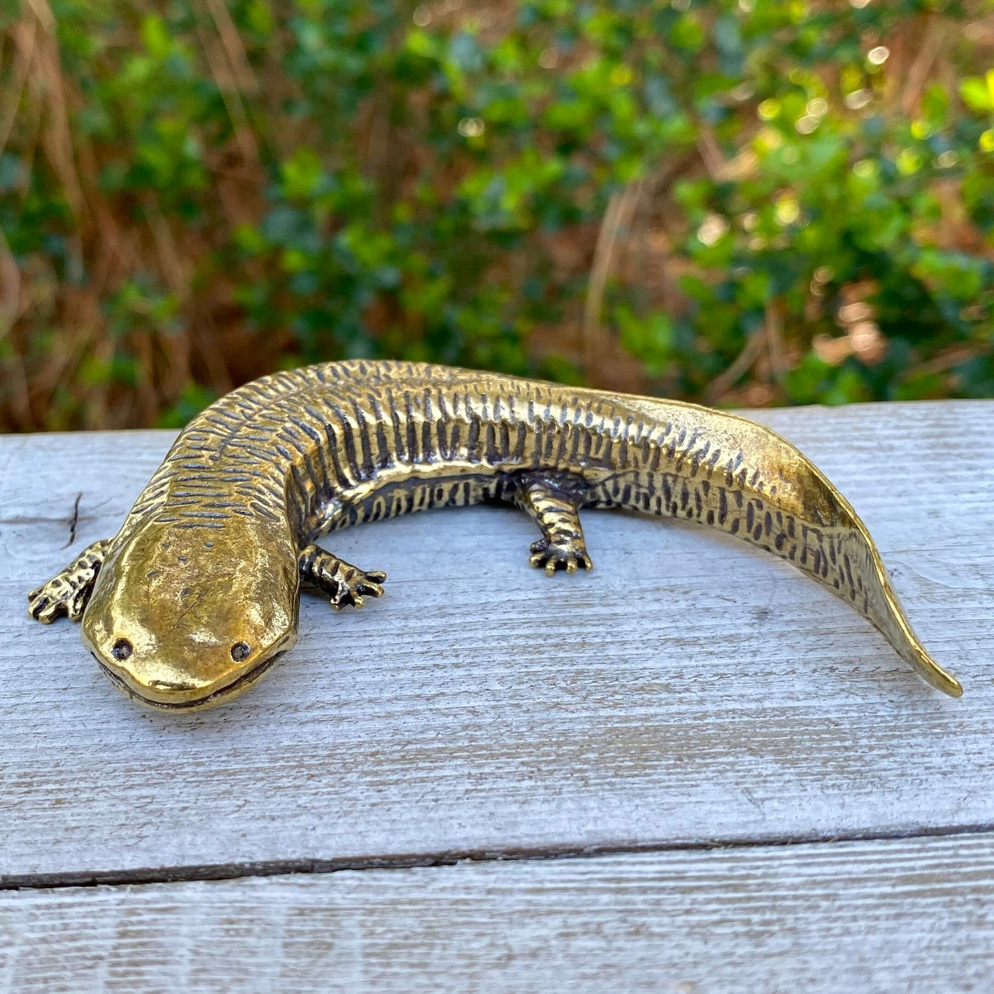 Solid brass salamander sculpture by Wild Brass, symbolizing resilience and adaptability, featuring detailed craftsmanship.