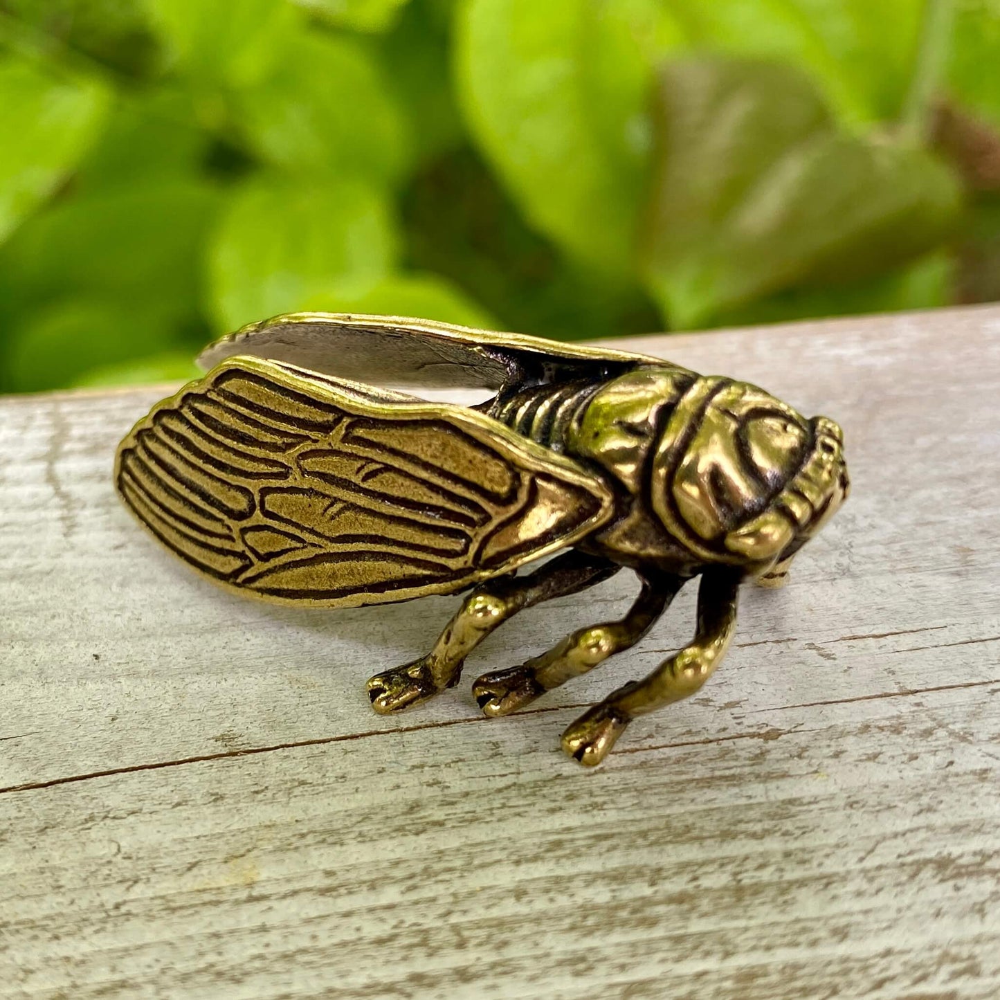 Solid Brass Cicada - Symbol of Personal Growth, Awakening & Renewal
