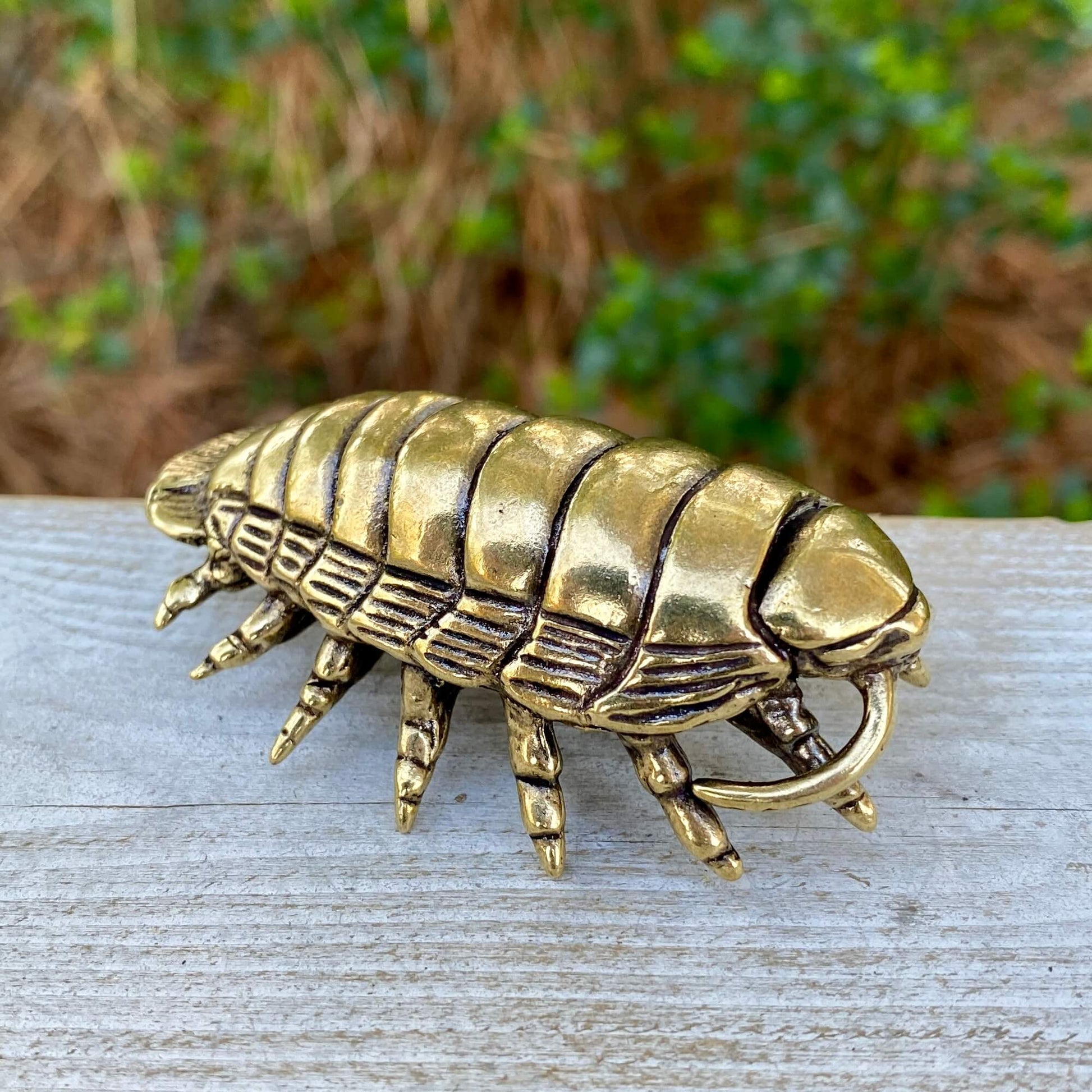 Solid brass giant isopod sculpture by Wild Brass, showcasing detailed features and a realistic marine crustacean appearance.
