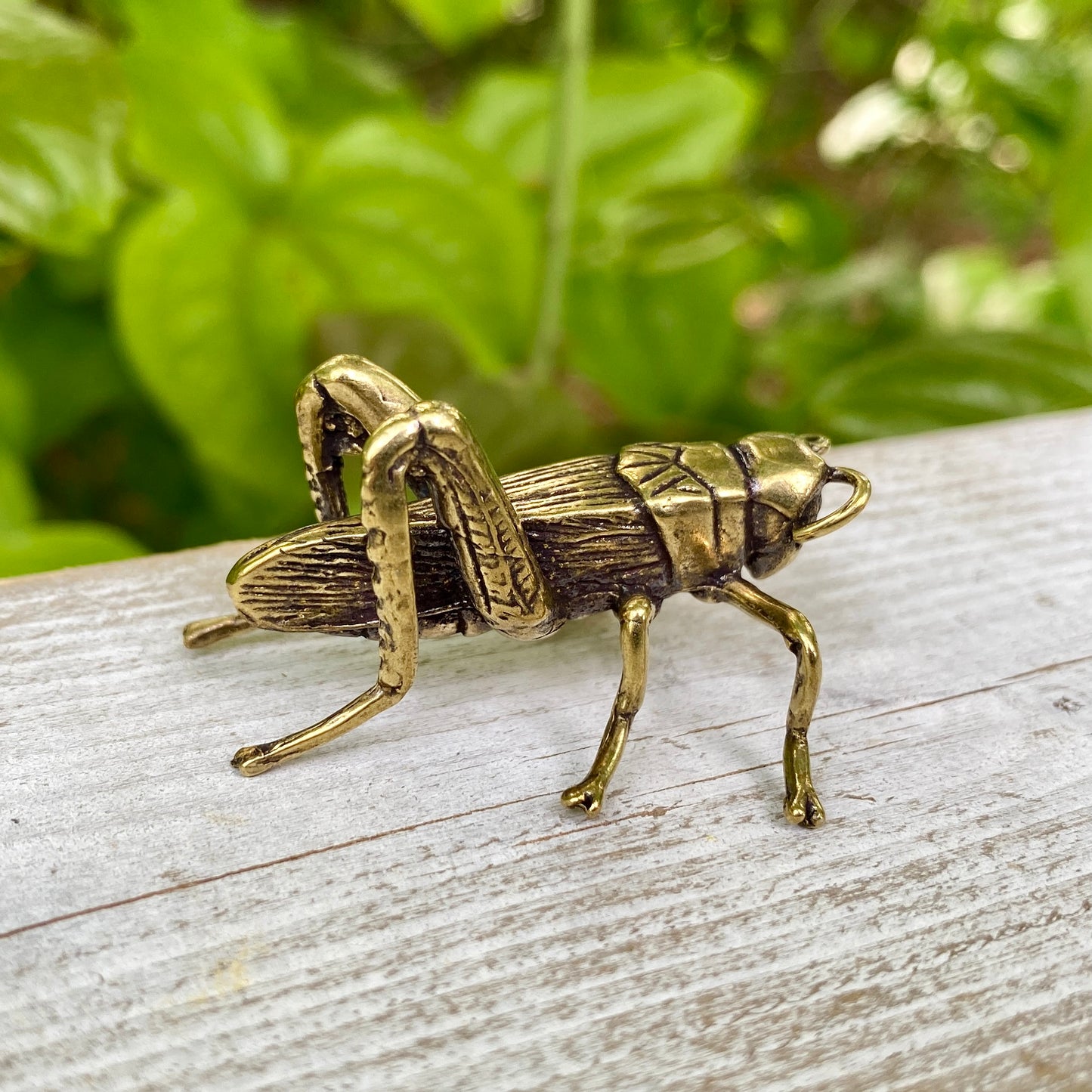 Solid Brass Grass Hopper / Cricket - Symbol of Good Fortune, Growth & Faith