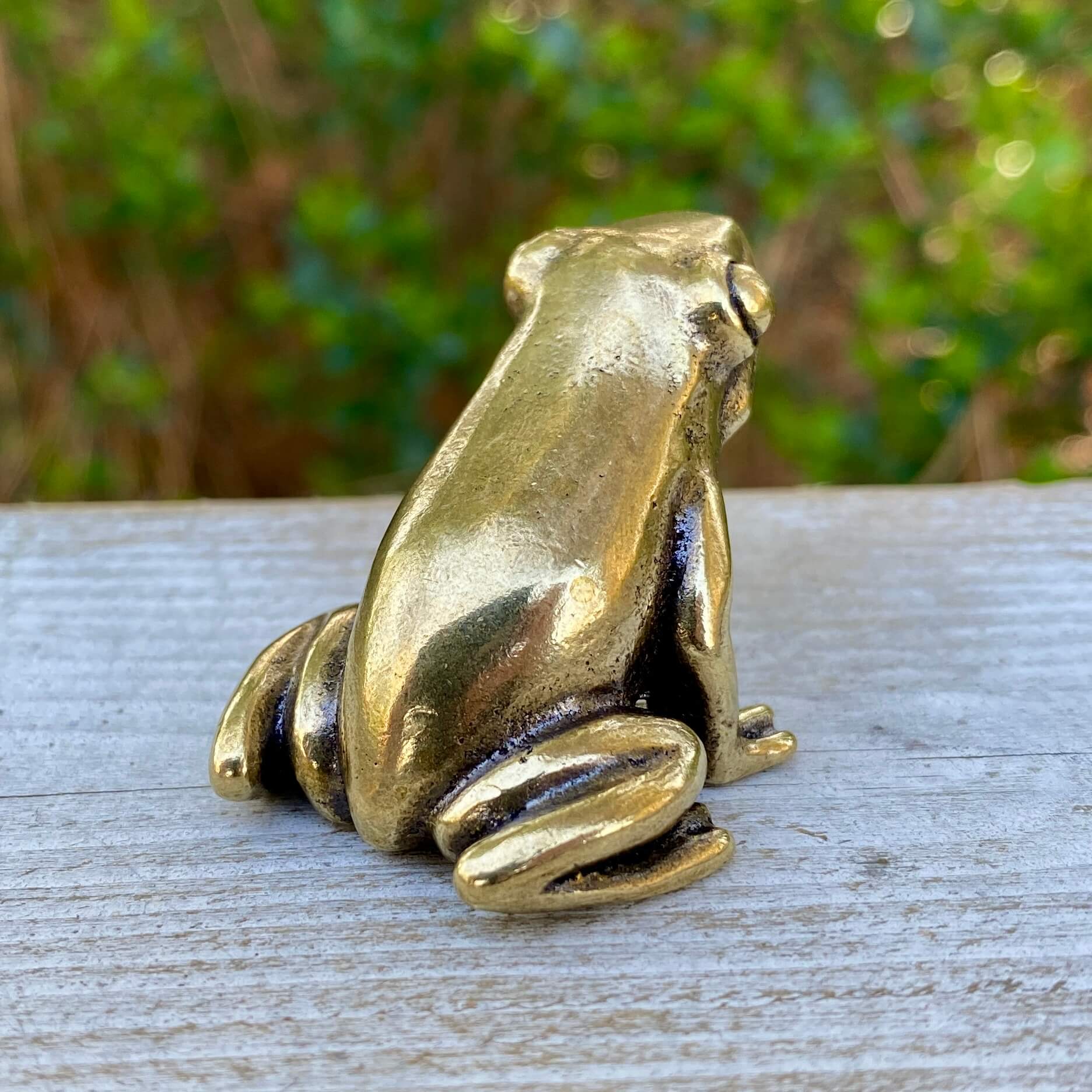 Solid brass frog sculpture by Wild Brass, symbol of transformation, renewal, and luck, shown in a detailed close-up view.