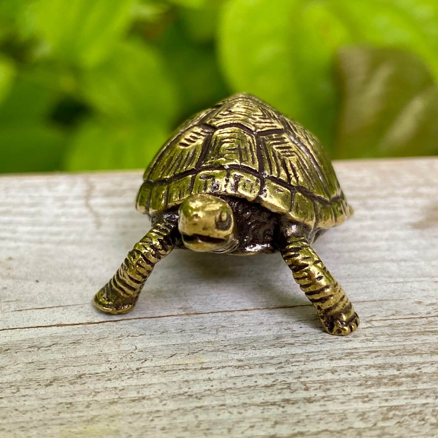 Solid Brass Land Turtle / Tortoise - Symbol of Patience, Wisdom & Balance
