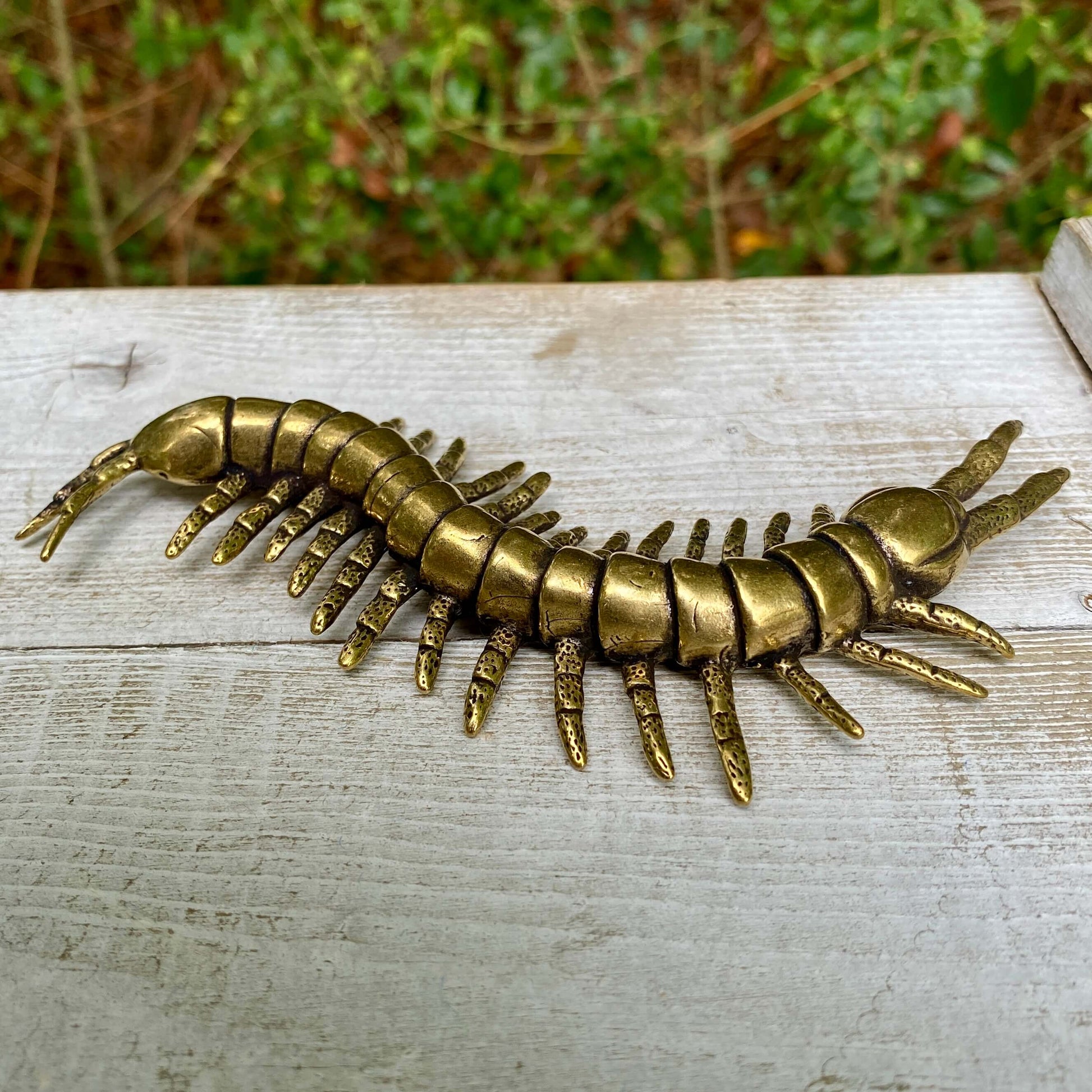 Solid brass centipede sculpture by Wild Brass, symbolizing protection, persistence, and flexibility, with detailed segmented body.