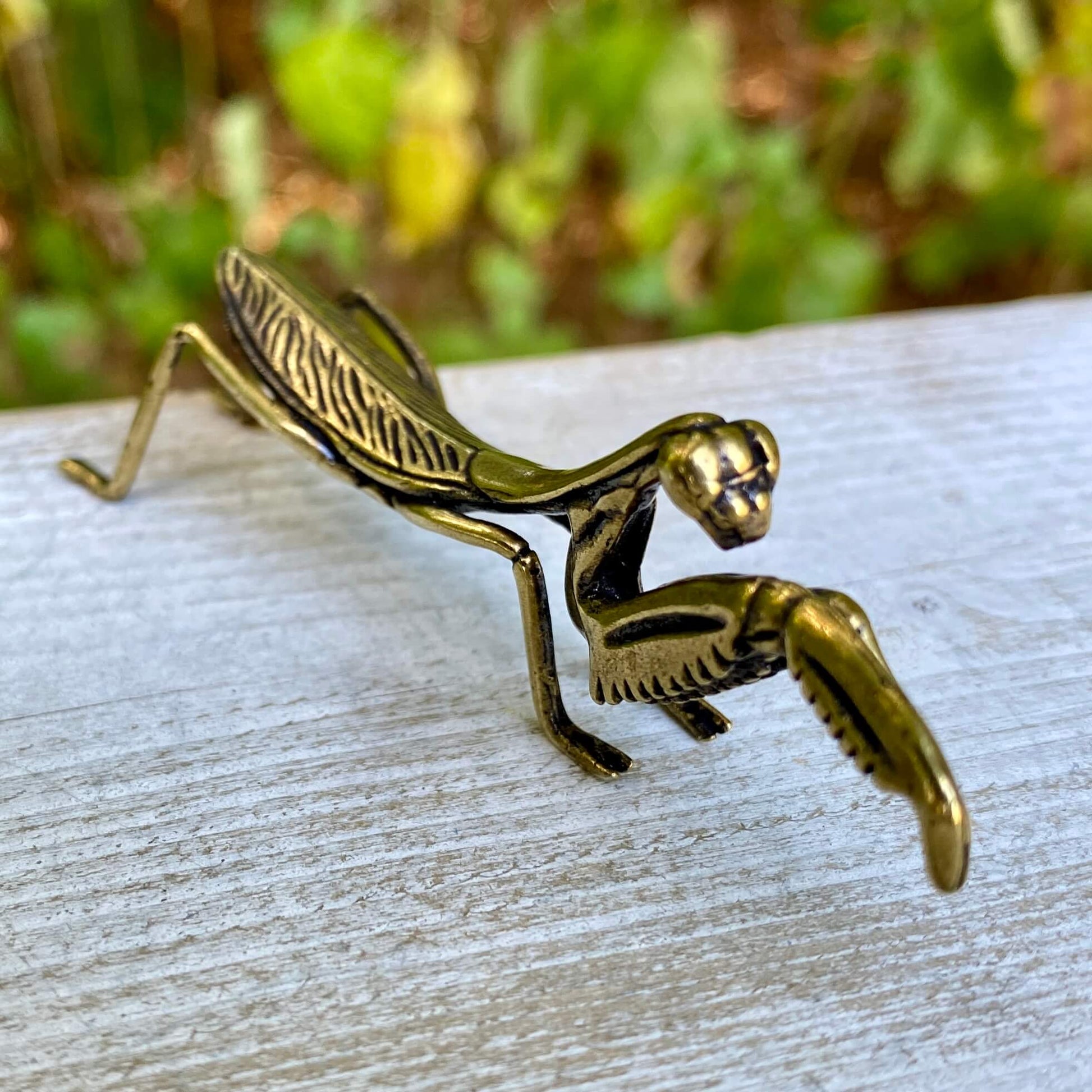 Solid brass praying mantis sculpture by Wild Brass, showcasing intricate details and a graceful pose symbolizing mindfulness and patience.