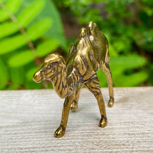 Solid brass camel sculpture by Wild Brass, symbolizing endurance, patience, and survival, detailed brass craftsmanship.