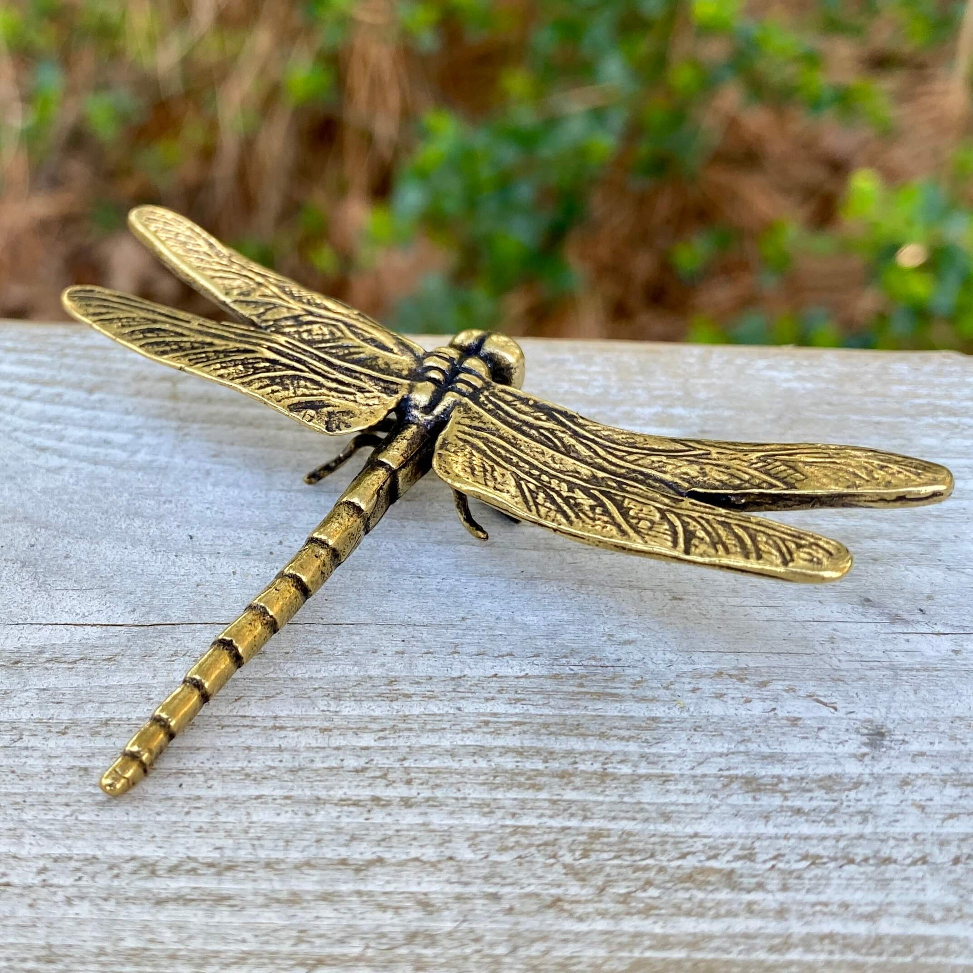 Solid brass dragonfly sculpture by Wild Brass symbolizing self-realization and living in the moment, displayed on a neutral background.