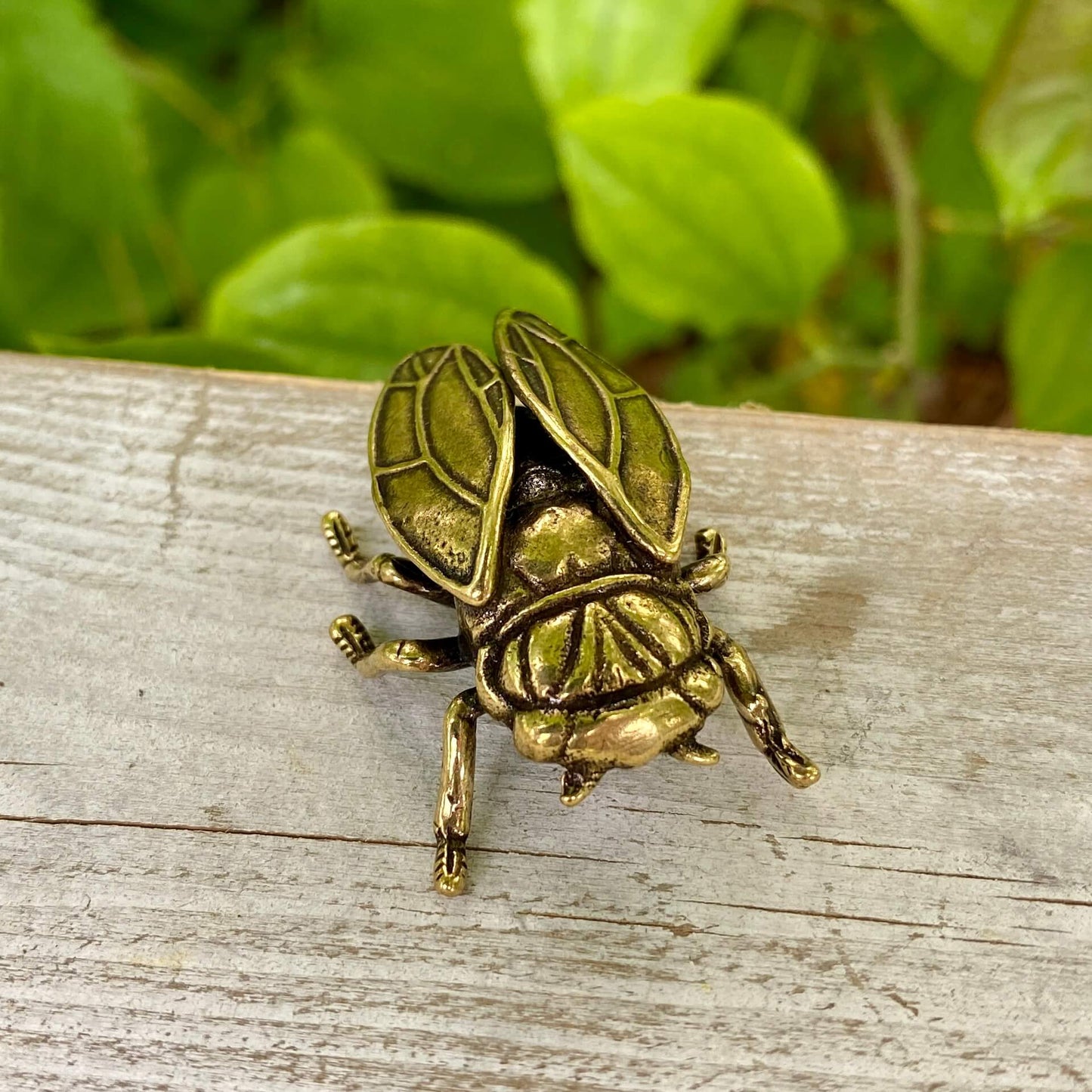Solid Brass Cicada - Symbol of Personal Growth, Awakening & Renewal