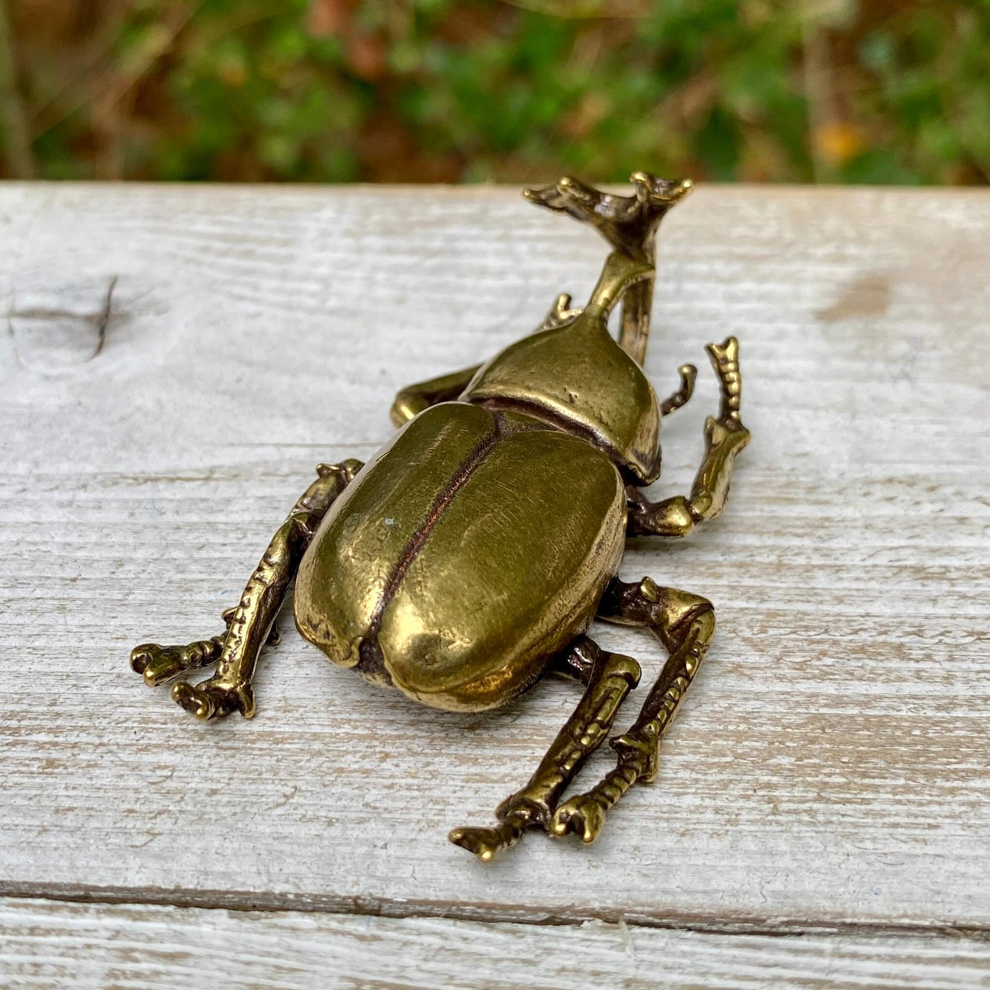 Solid brass rhinoceros beetle sculpture by Wild Brass, showcasing detailed craftsmanship and a strong, resilient insect design.