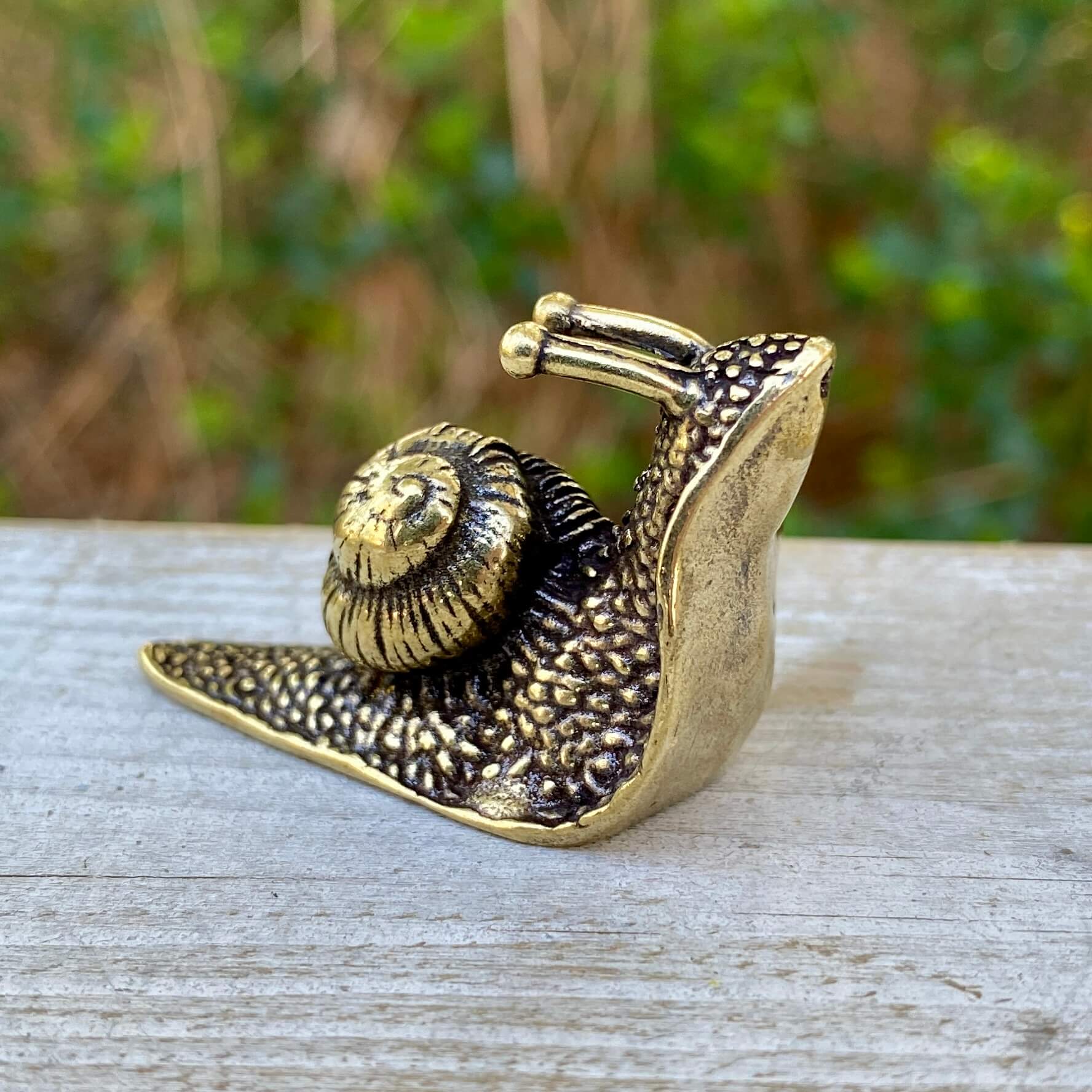 Solid brass snail sculpture by Wild Brass, symbol of patience, mindfulness, and calm, showcasing intricate details and a smooth finish.