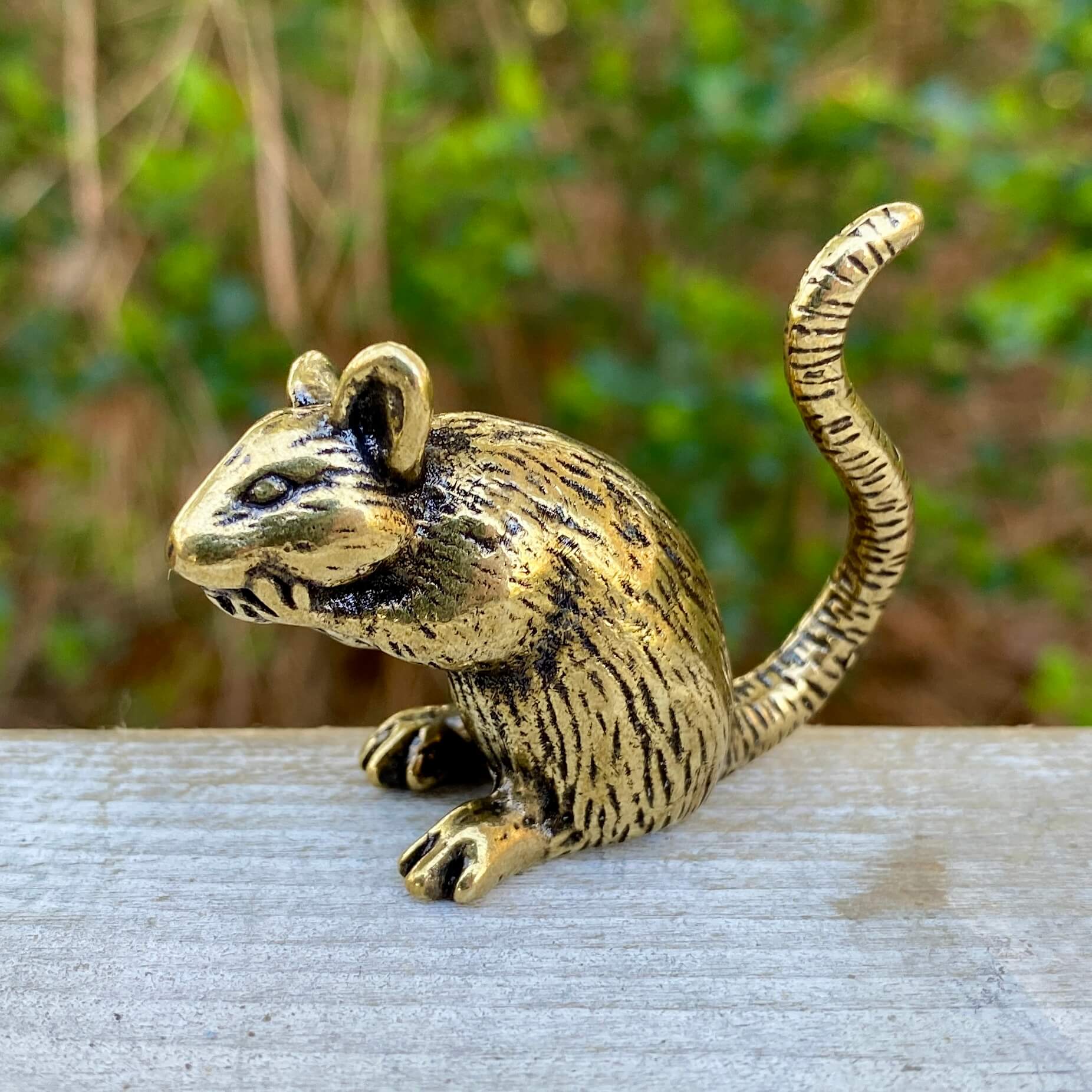 Solid brass rat sculpture by Wild Brass, symbolizing intelligence and resourcefulness, featuring detailed craftsmanship and realistic form.