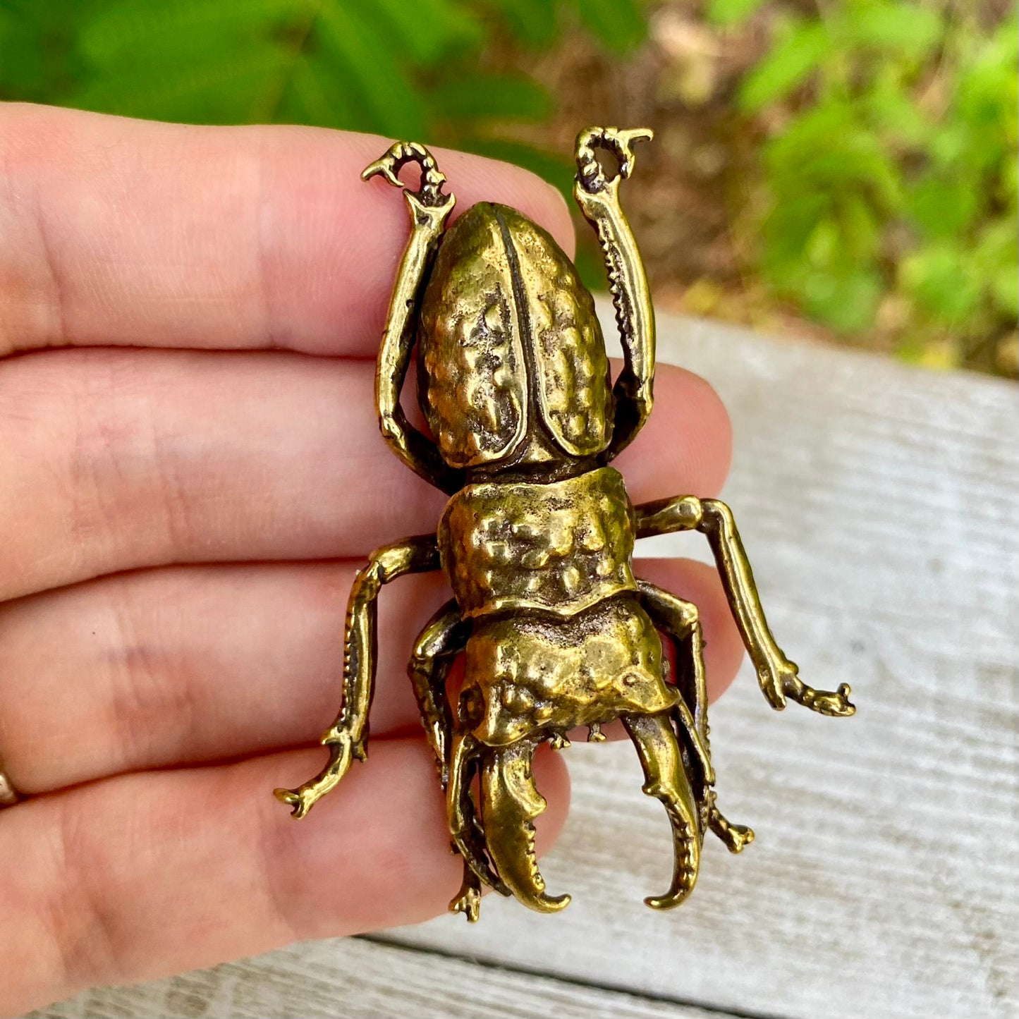 Solid brass stag beetle bug by Wild Brass, detailed insect with strong mandibles, symbol of strength and renewal, on a neutral background.