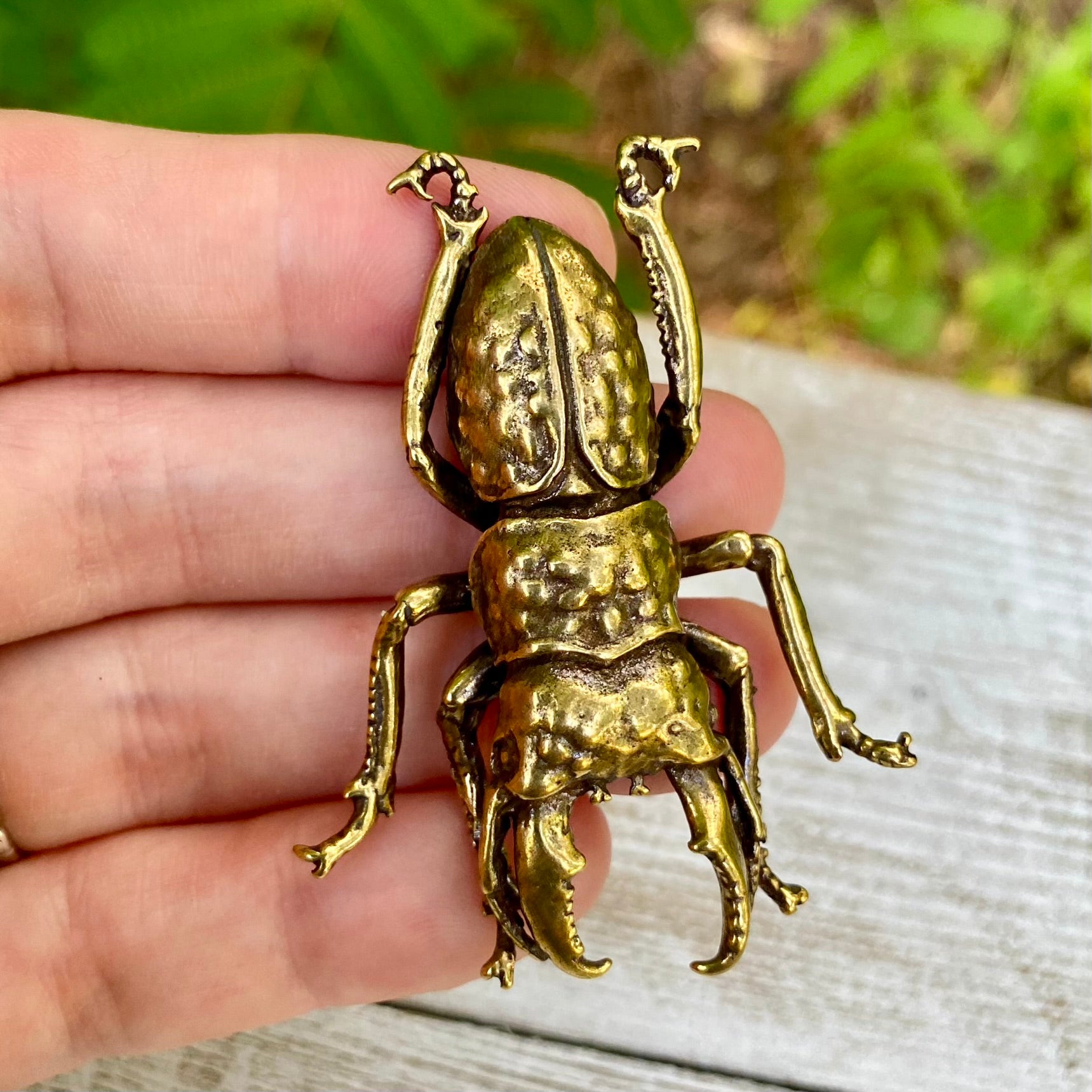 Solid brass stag beetle bug by Wild Brass, detailed insect with strong mandibles, symbol of strength and renewal, on a neutral background.